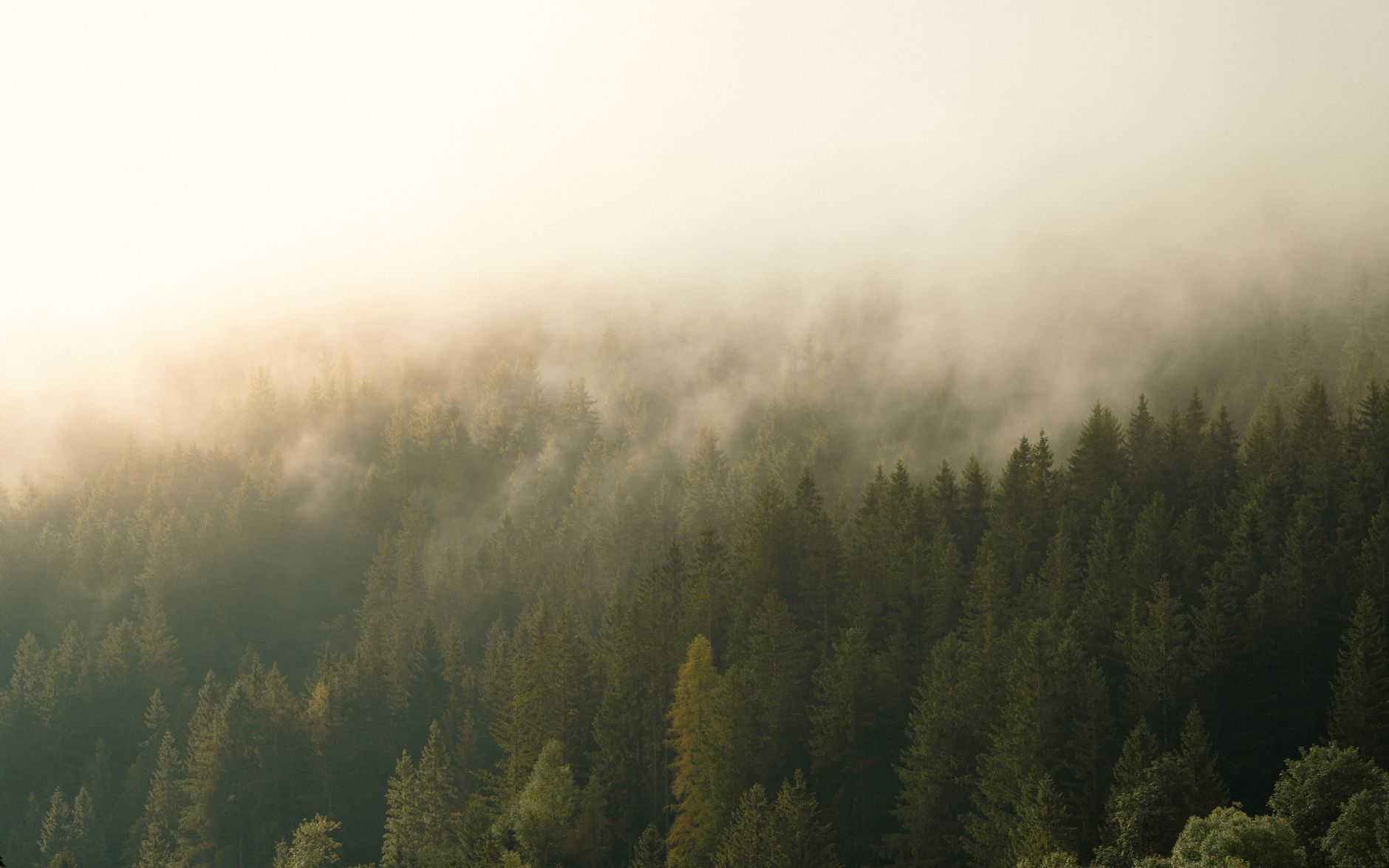 Nationalpark Bayerischer Wald