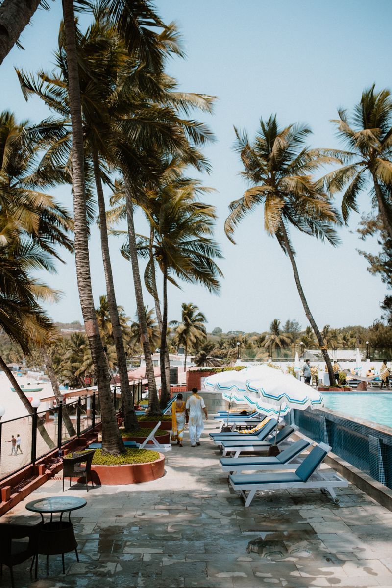 Tropical resort poolside with palm trees