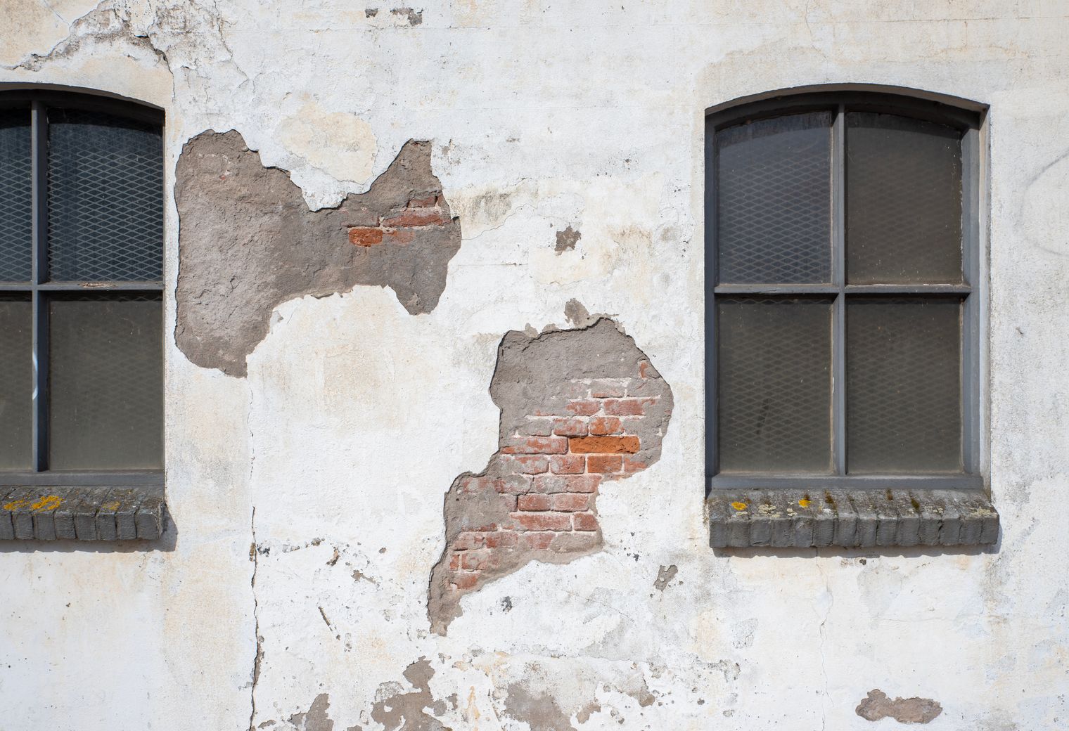 Wallpapering in Longford — walls rolled to an even, flat finish