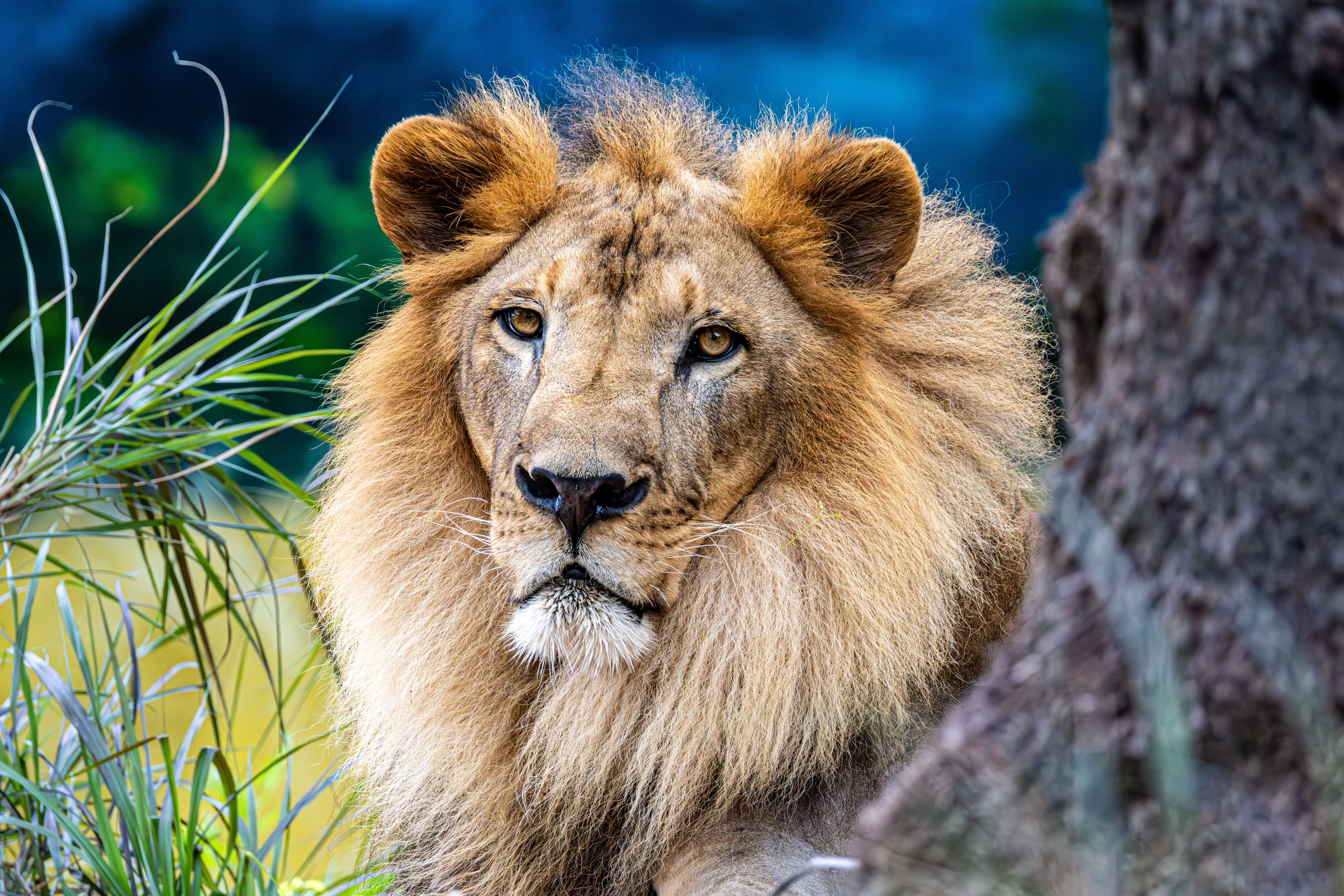 Foto: Regan Dsouza / Pexels