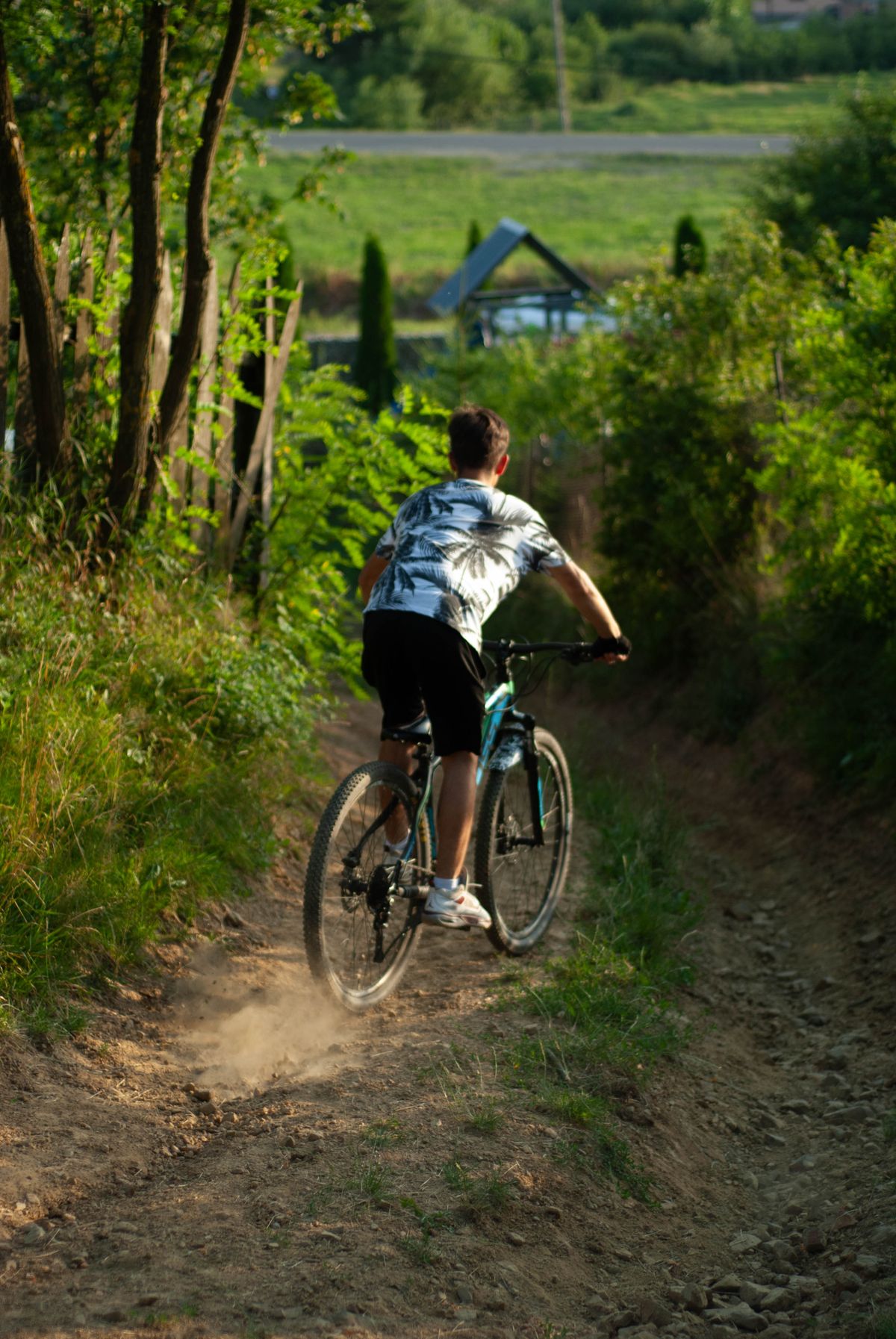 Mountain biker on dirt trail in pines