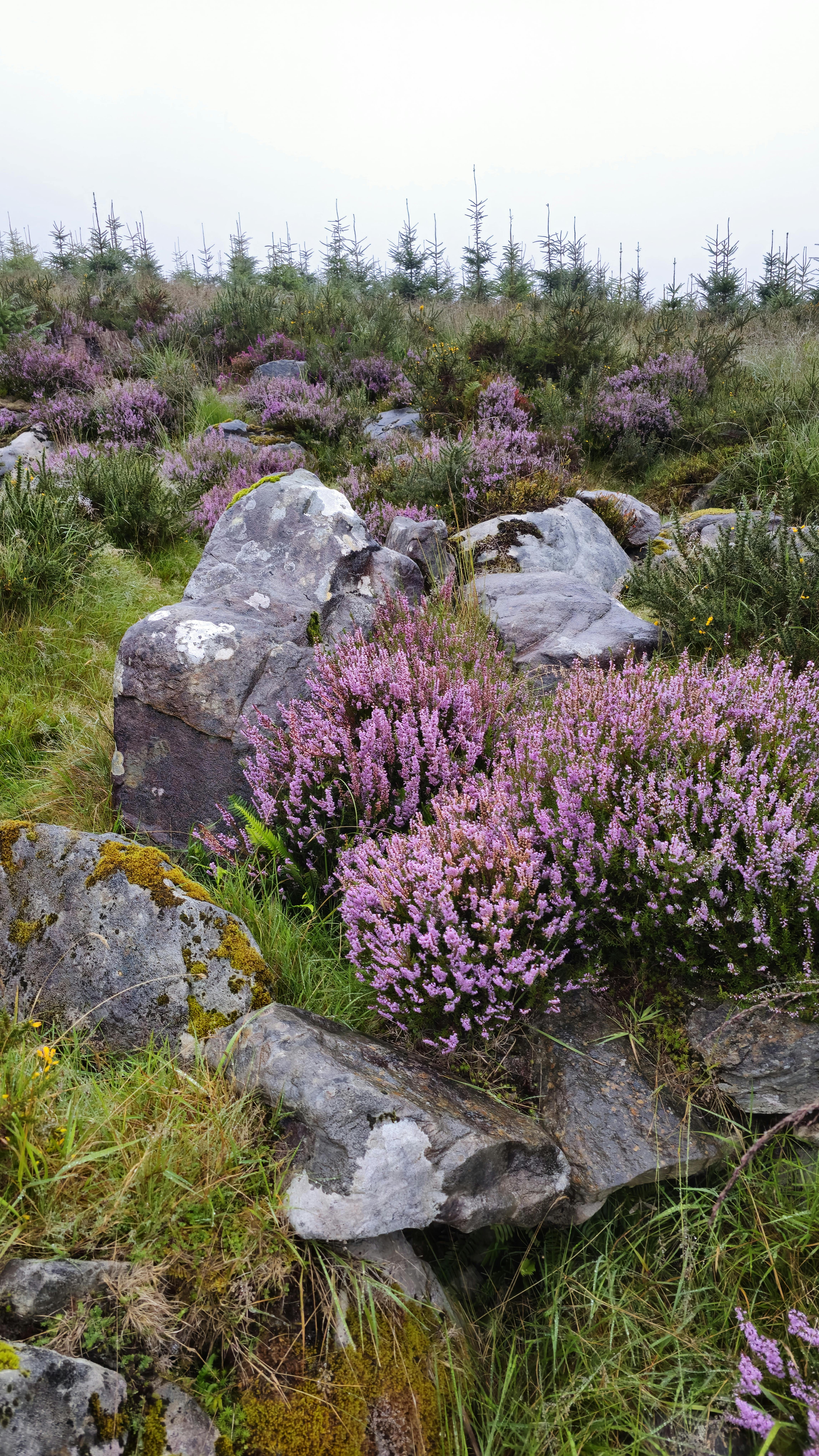 13win - Hướng dẫn núm thể & phần đông buộc phải nhớ bắt buộc biết để tòa tháp nhất năm 2024