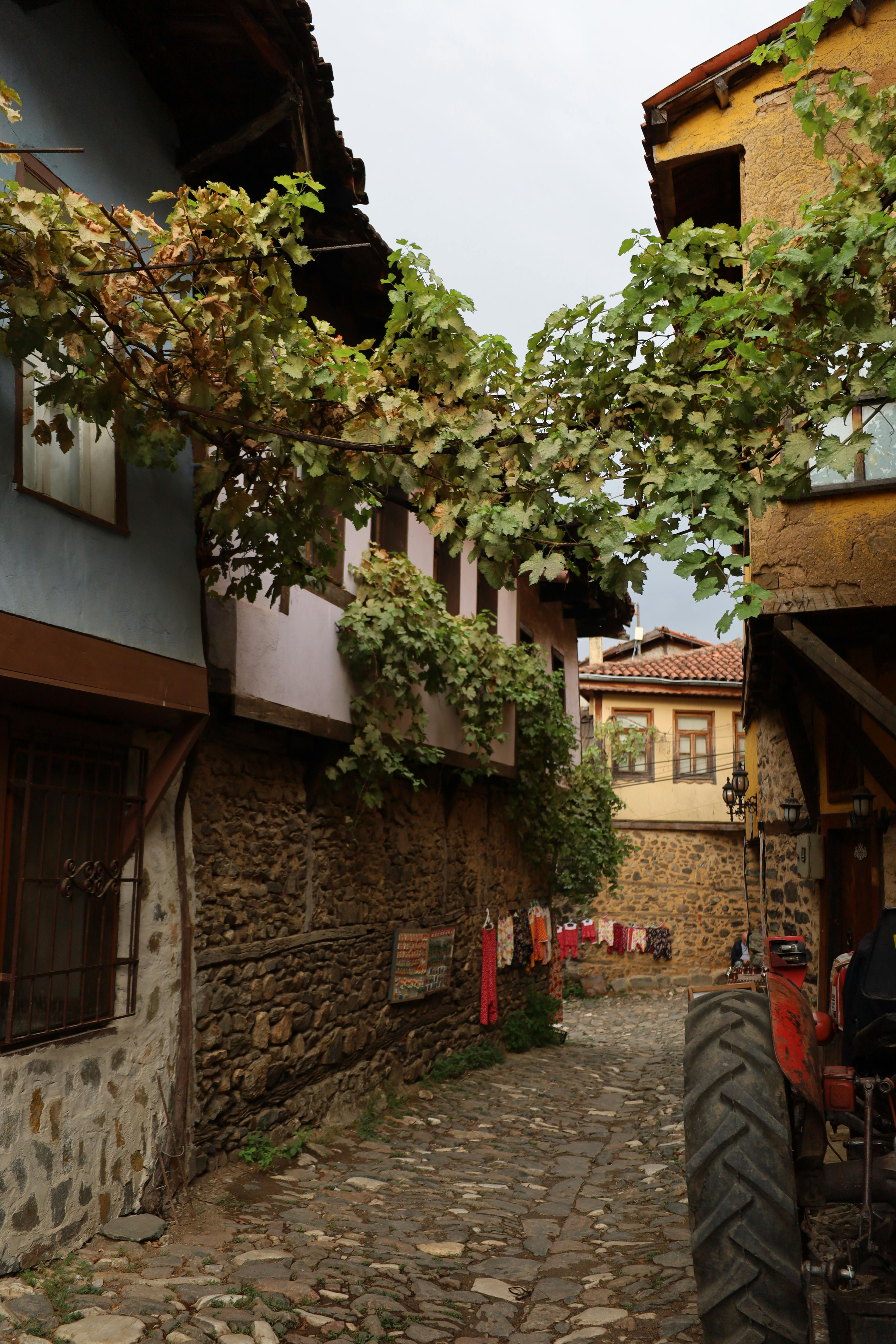 ฟรี Cumalı Kızık คลังภาพถ่าย