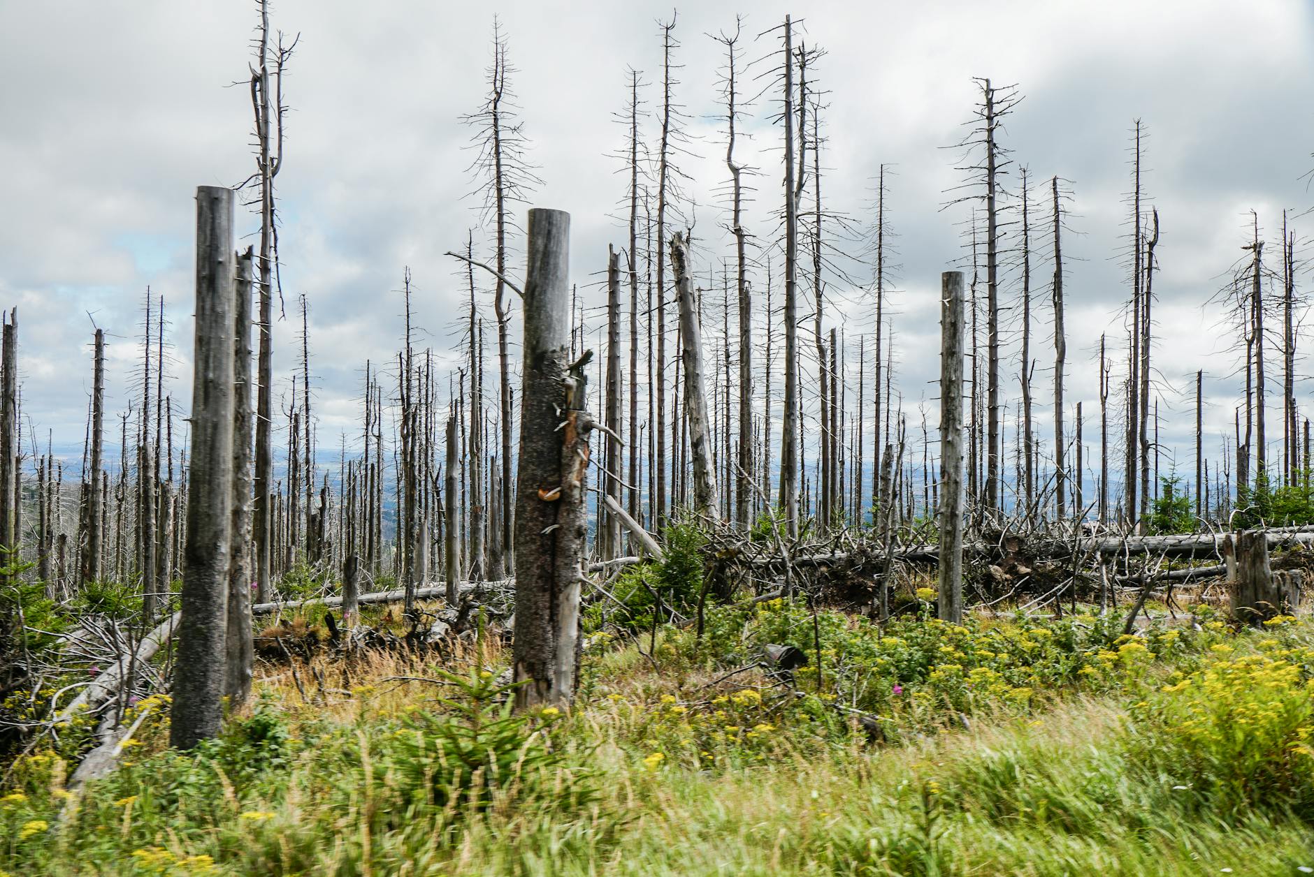 CoreWeave secures $8.5 billion loan to expand AI infrastructure