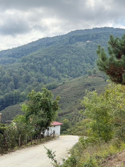 Free Captivating mountain landscape with a rural house and lush greenery under a cloudy sky. Stock Photo