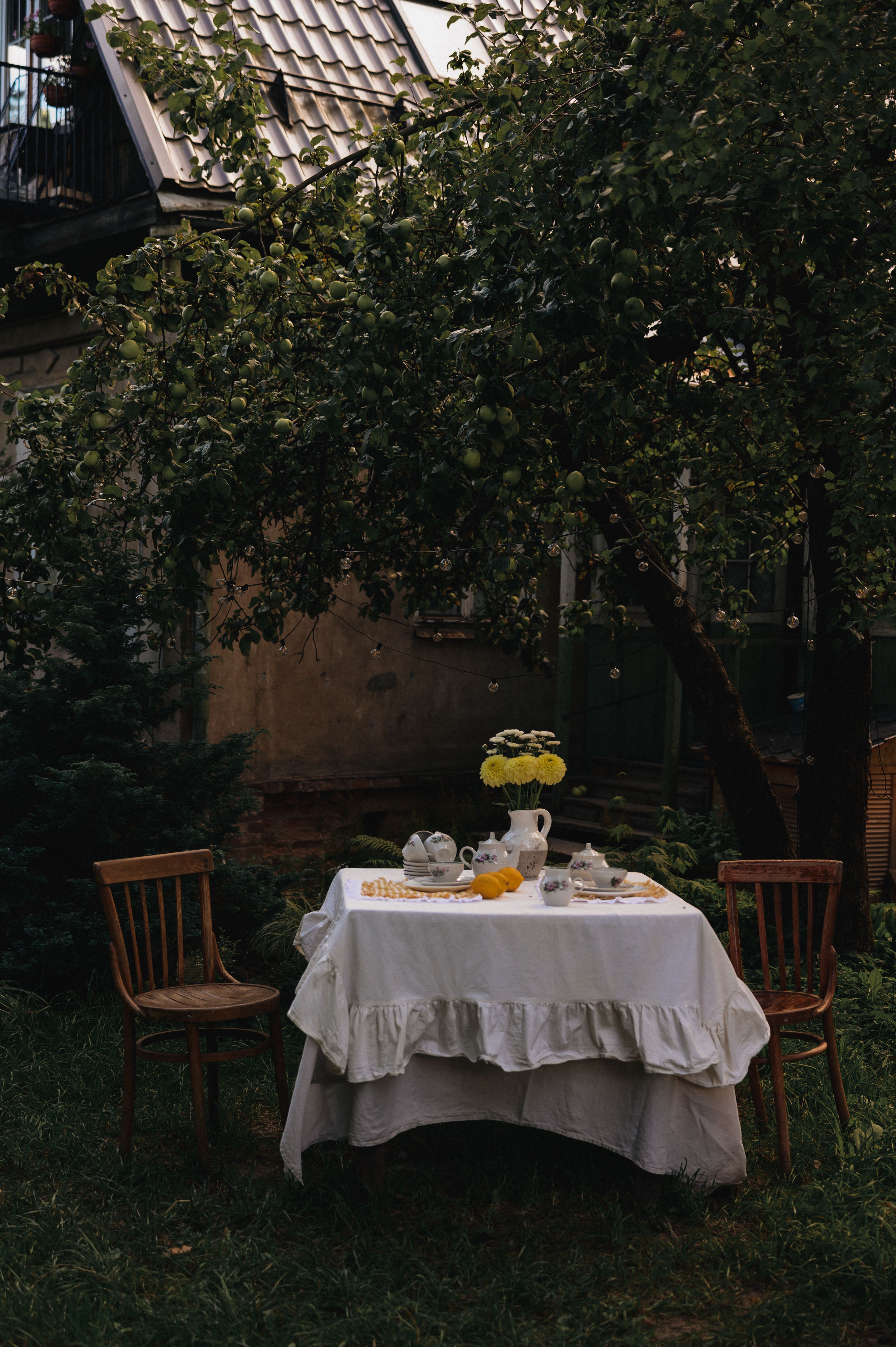 Charming Outdoor Tea Setting in Lush Garden · Free Stock Photo