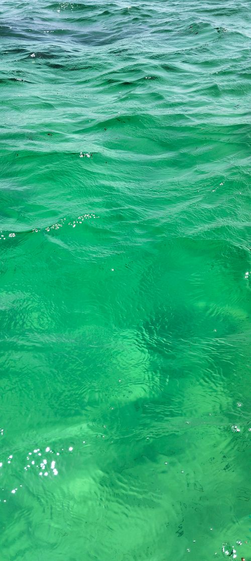 Free stock photo of 4k nature video, nature, nature activity Stock Photo
