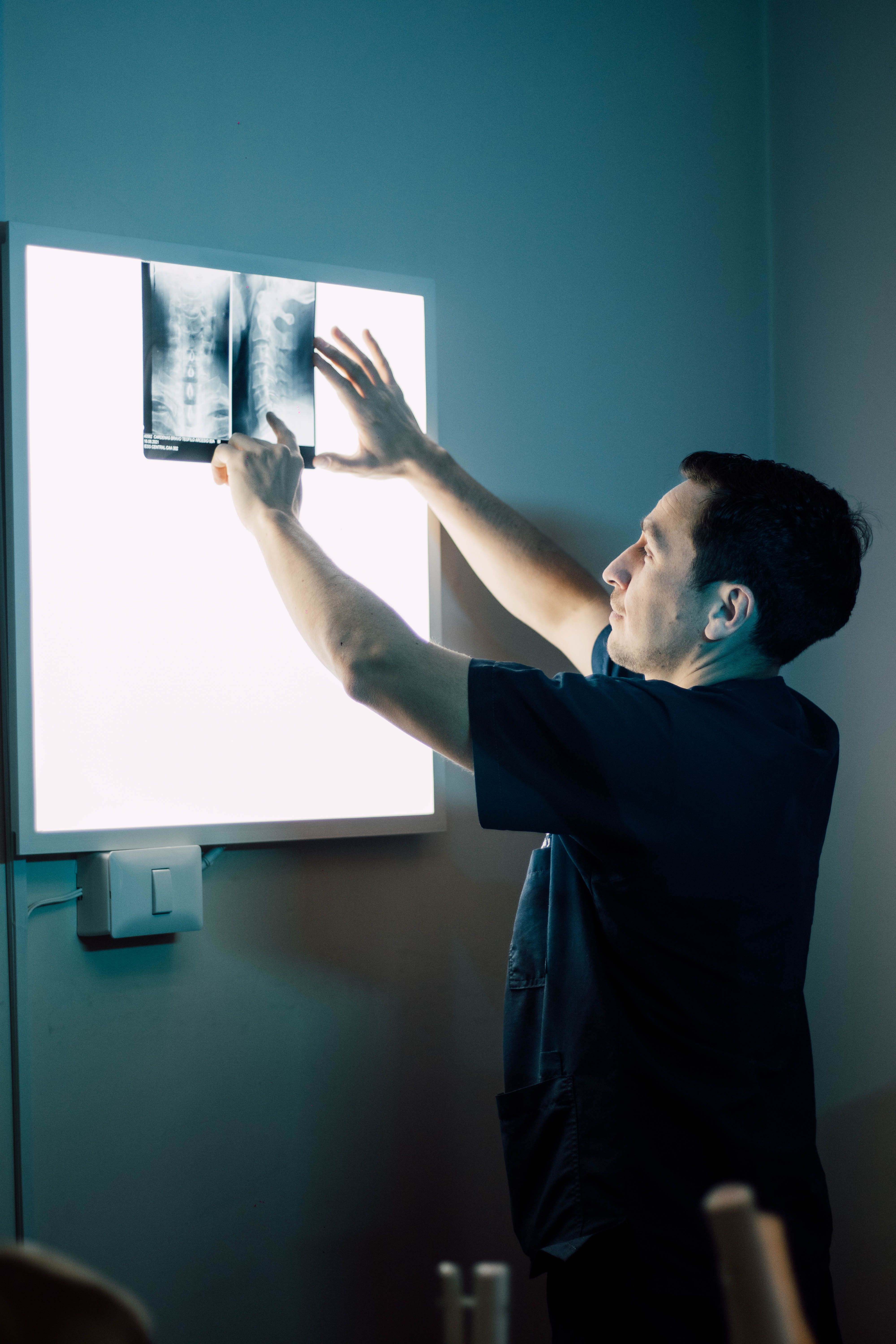 Medical Professional Examining X-Ray Scan · Free Stock Photo
