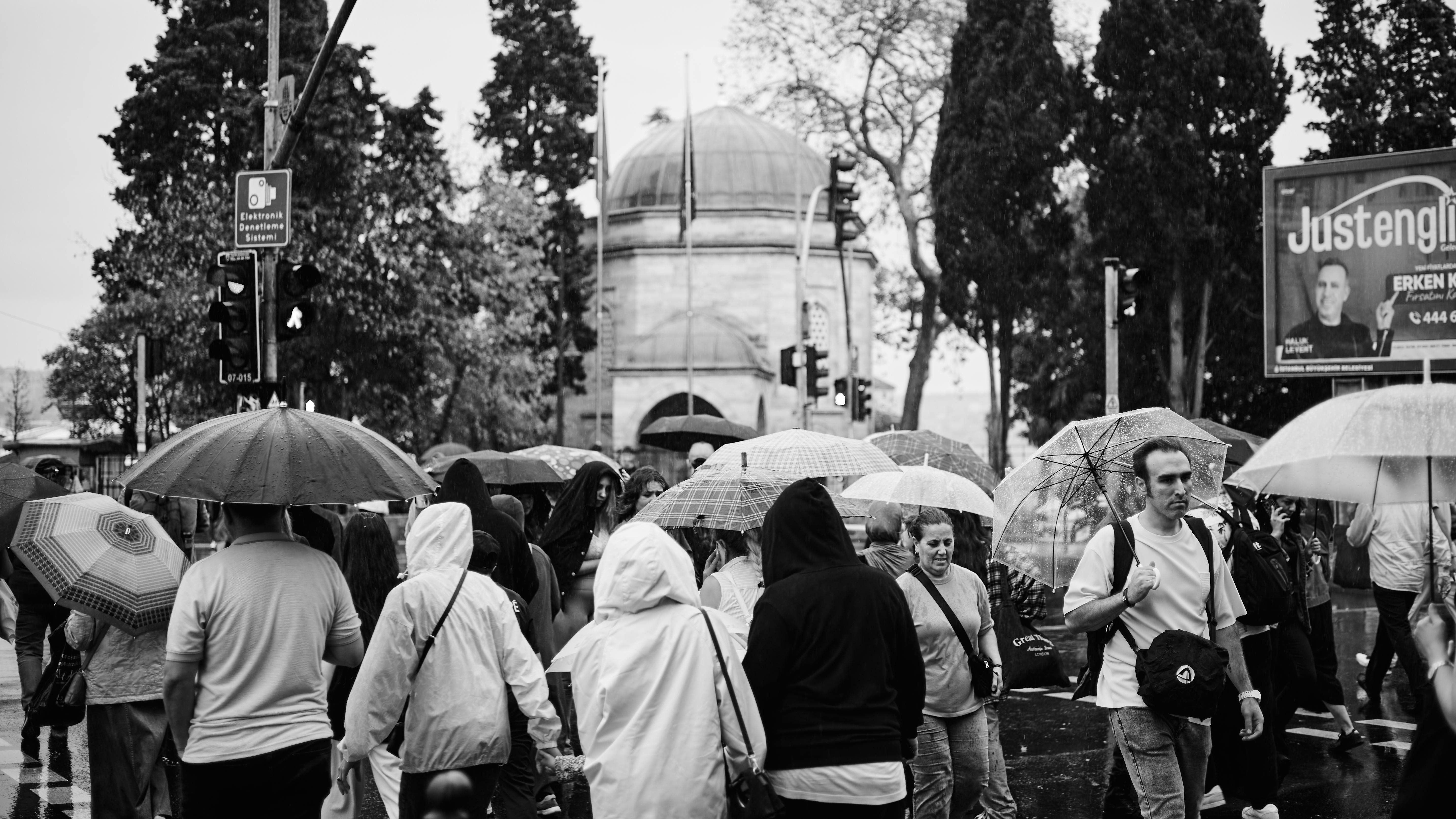 Shared experience outweighs cost as family travel demand hits new highs — Photo by Eyüpcan Timur on Pexels