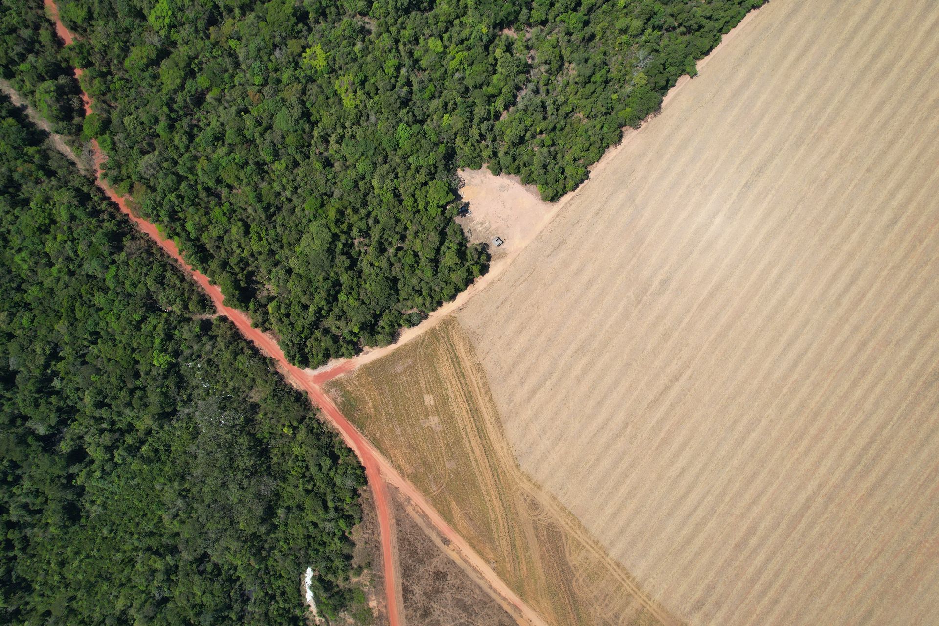 Aerial shot showing contrast between dense forest and cultivated field.