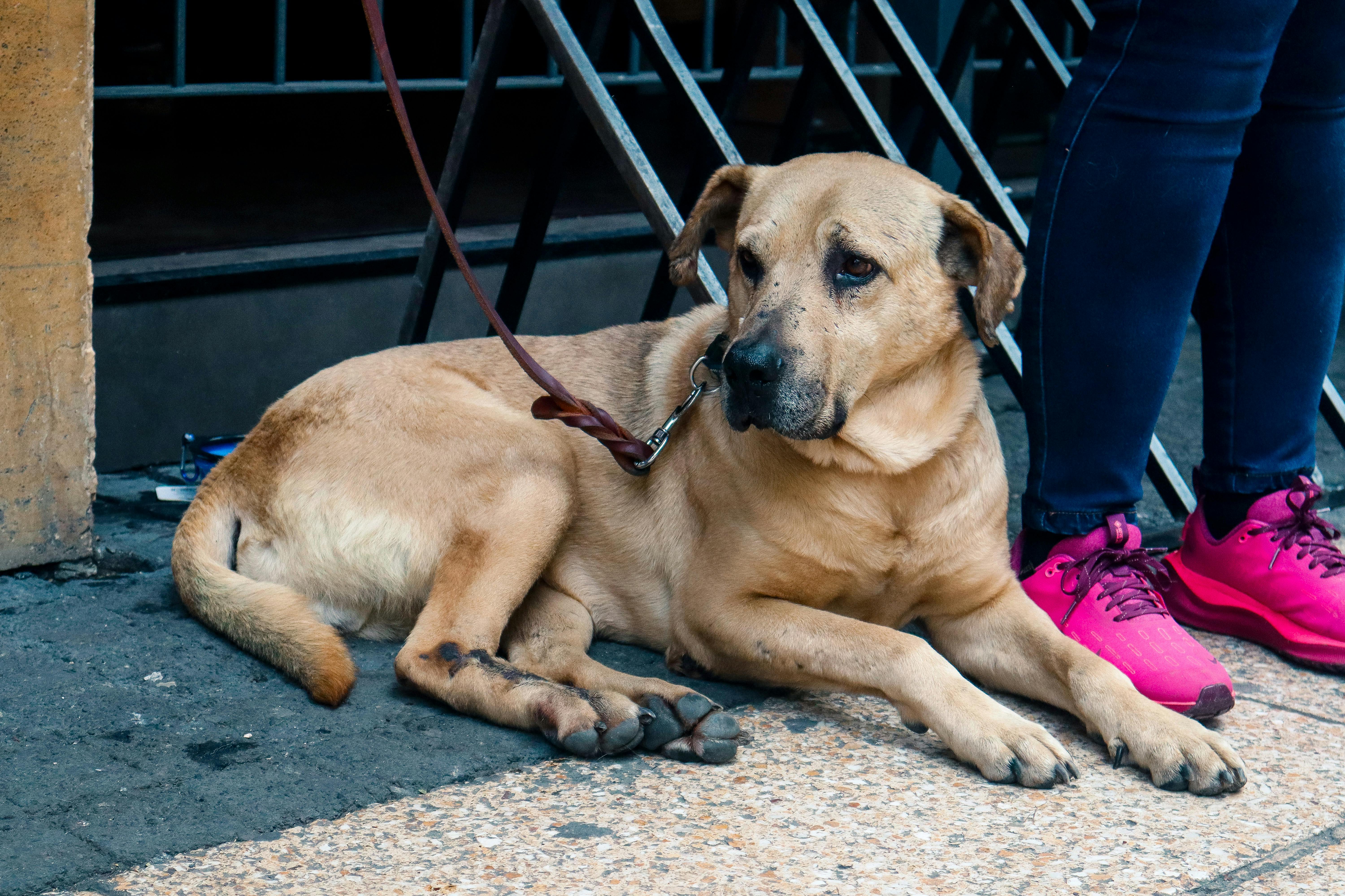 Effective Loyalty Program Ideas That Work