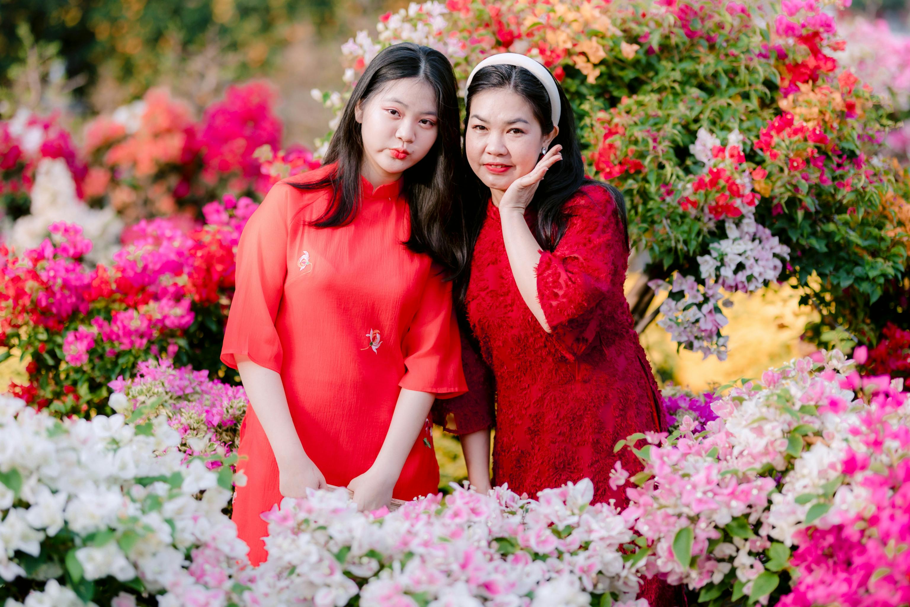 general education degree reddit — Photo by 🇻🇳🇻🇳Nguyễn Tiến Thịnh 🇻🇳🇻🇳 on Pexels