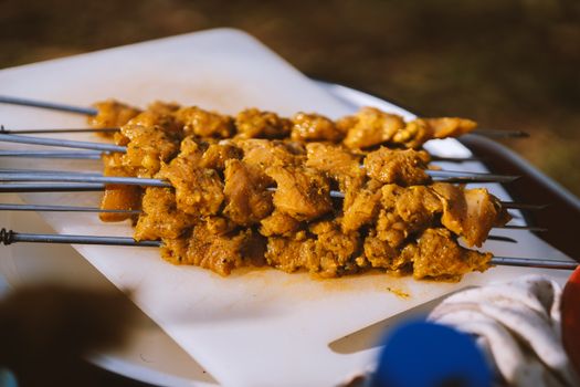 Close-up of seasoned chicken skewers ready to cook outdoors.