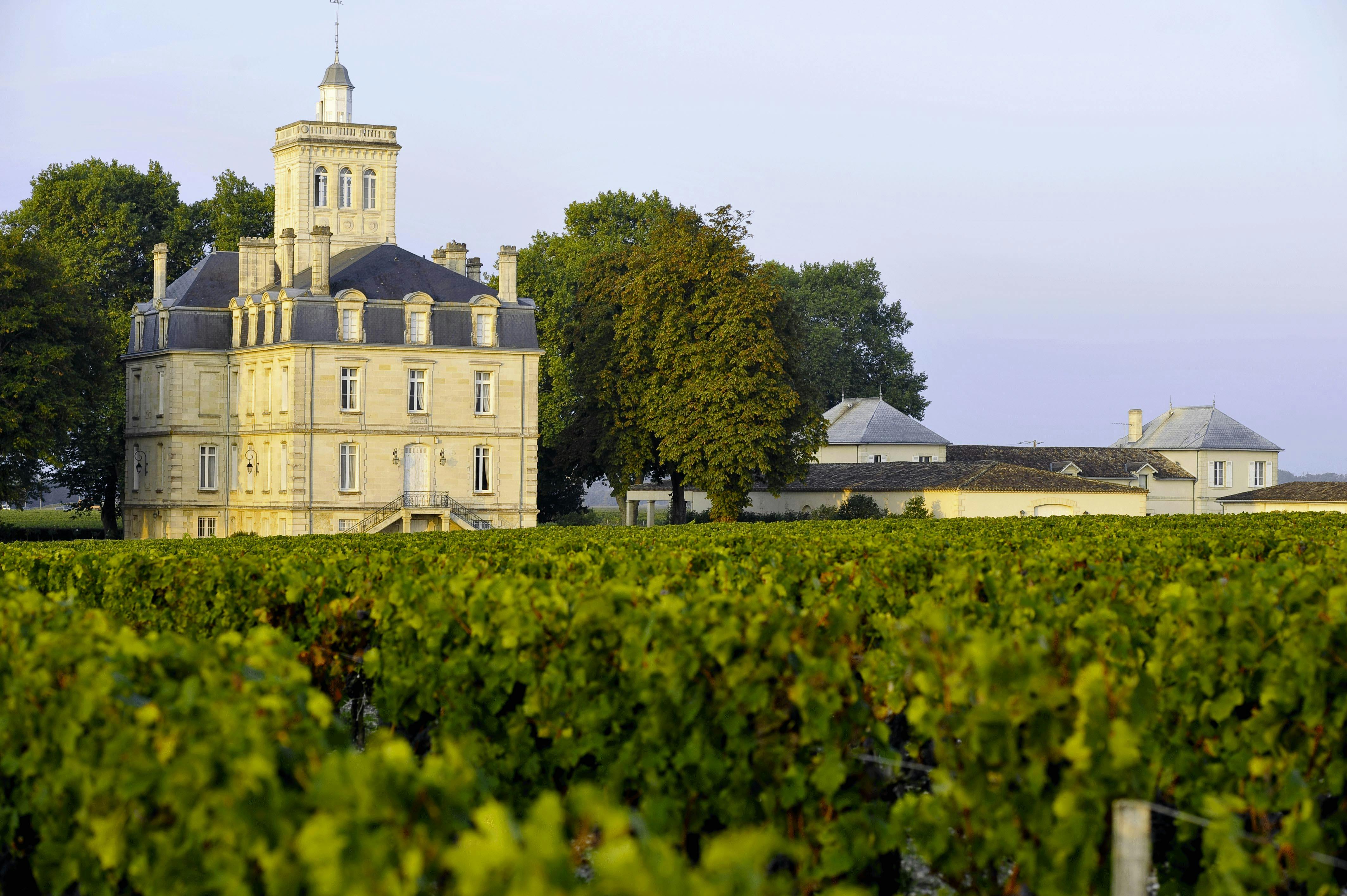 Free stock photo of chateaux bordeaux, chateaux vignes, haut medoc