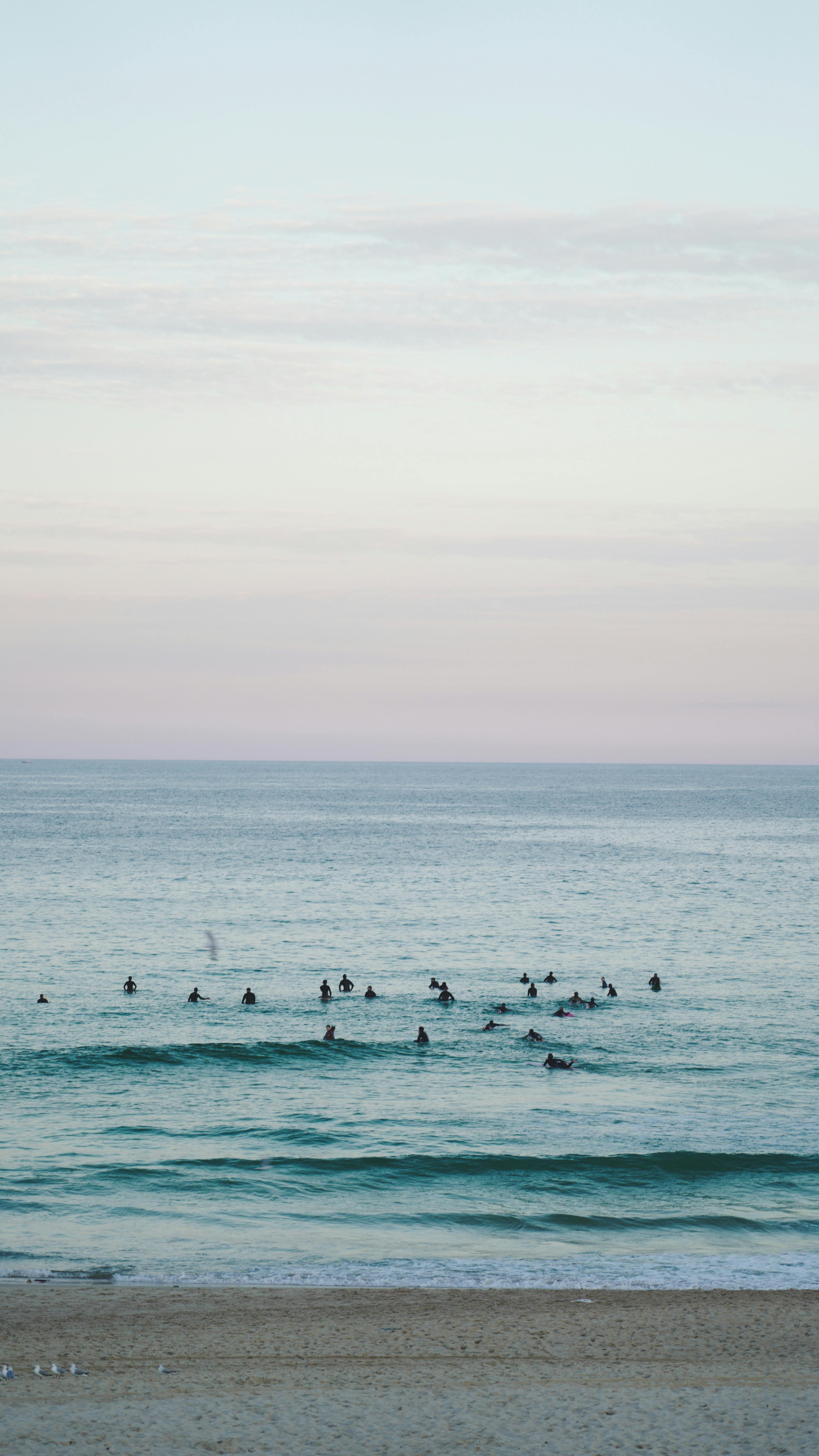 Pam+Bondi+Bikini+Pictures+ Photos, Download The BEST Free Pam+Bondi ...