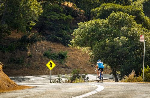 Free Cyclist riding along a winding road amidst lush greenery and traffic signs, in daylight. Stock Photo