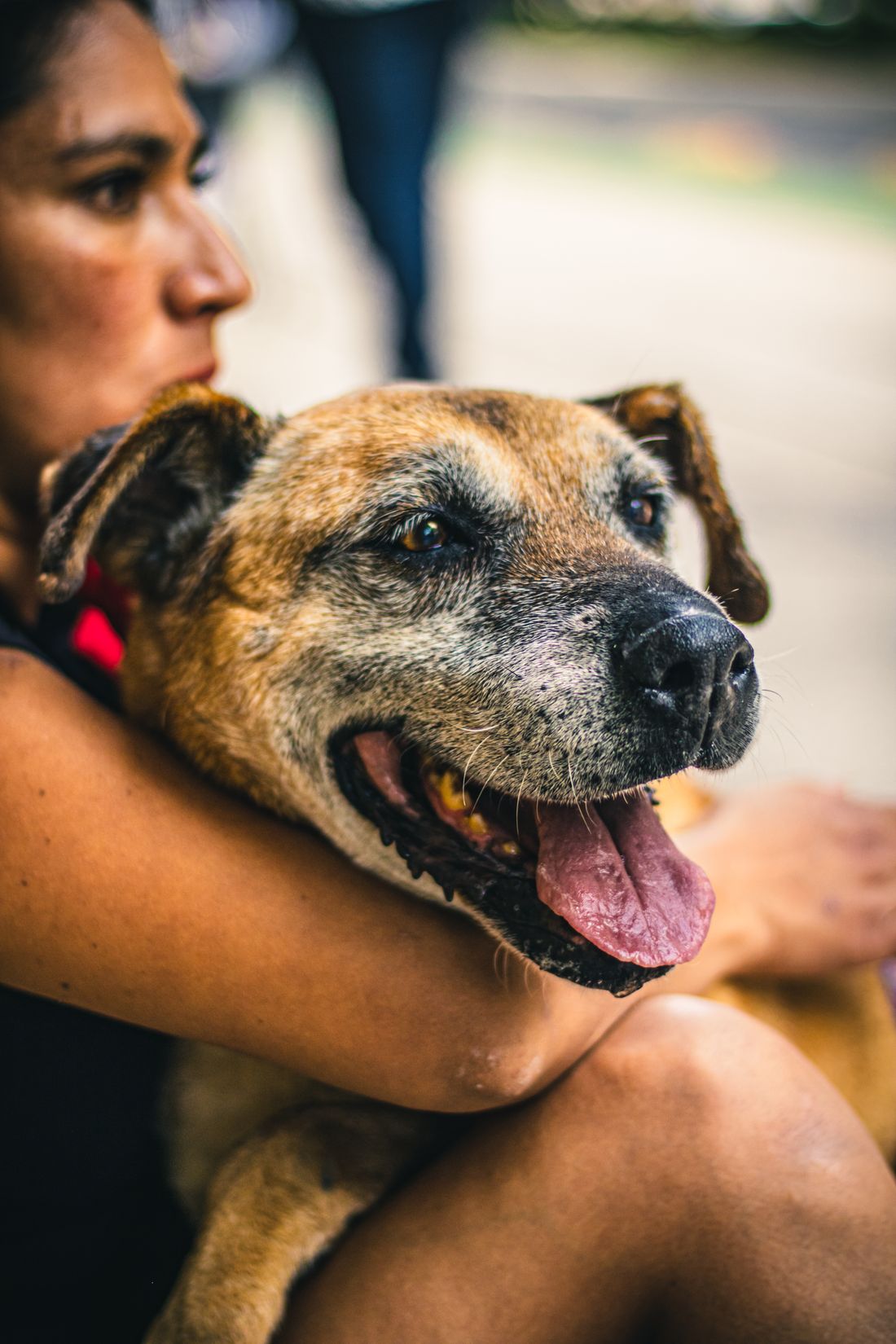Familia Natubark — dueño feliz abrazando a su perro