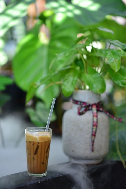 Free Refreshing iced coffee beside a potted plant, creating a serene and lush ambiance. Stock Photo