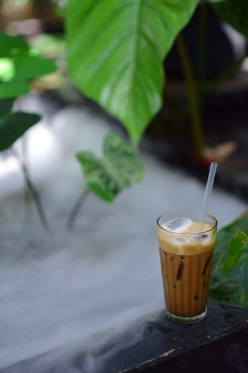 Free A glass of iced coffee with milk placed in a lush garden setting, perfect for a refreshing break. Stock Photo