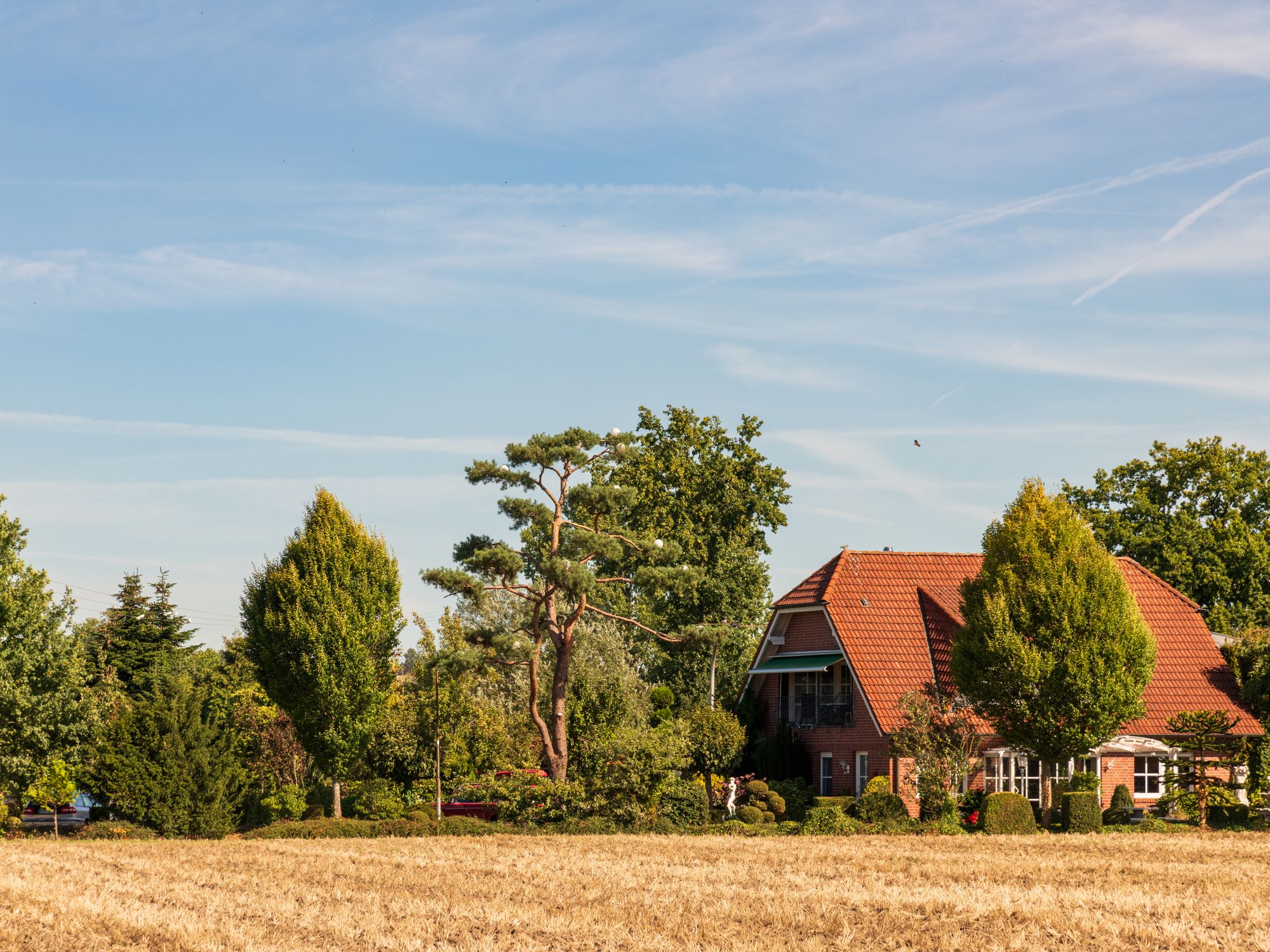House Removals in Merstham, South East — professional movers carrying furniture on a house move
