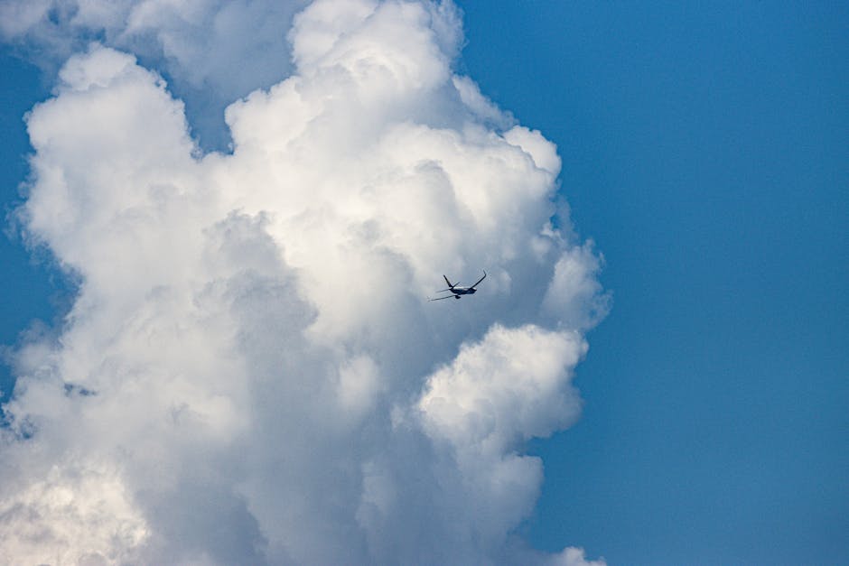 Oatmeal & Odysseys:  Budget-Hacking Your 2025 Oats-Fueled Adventure