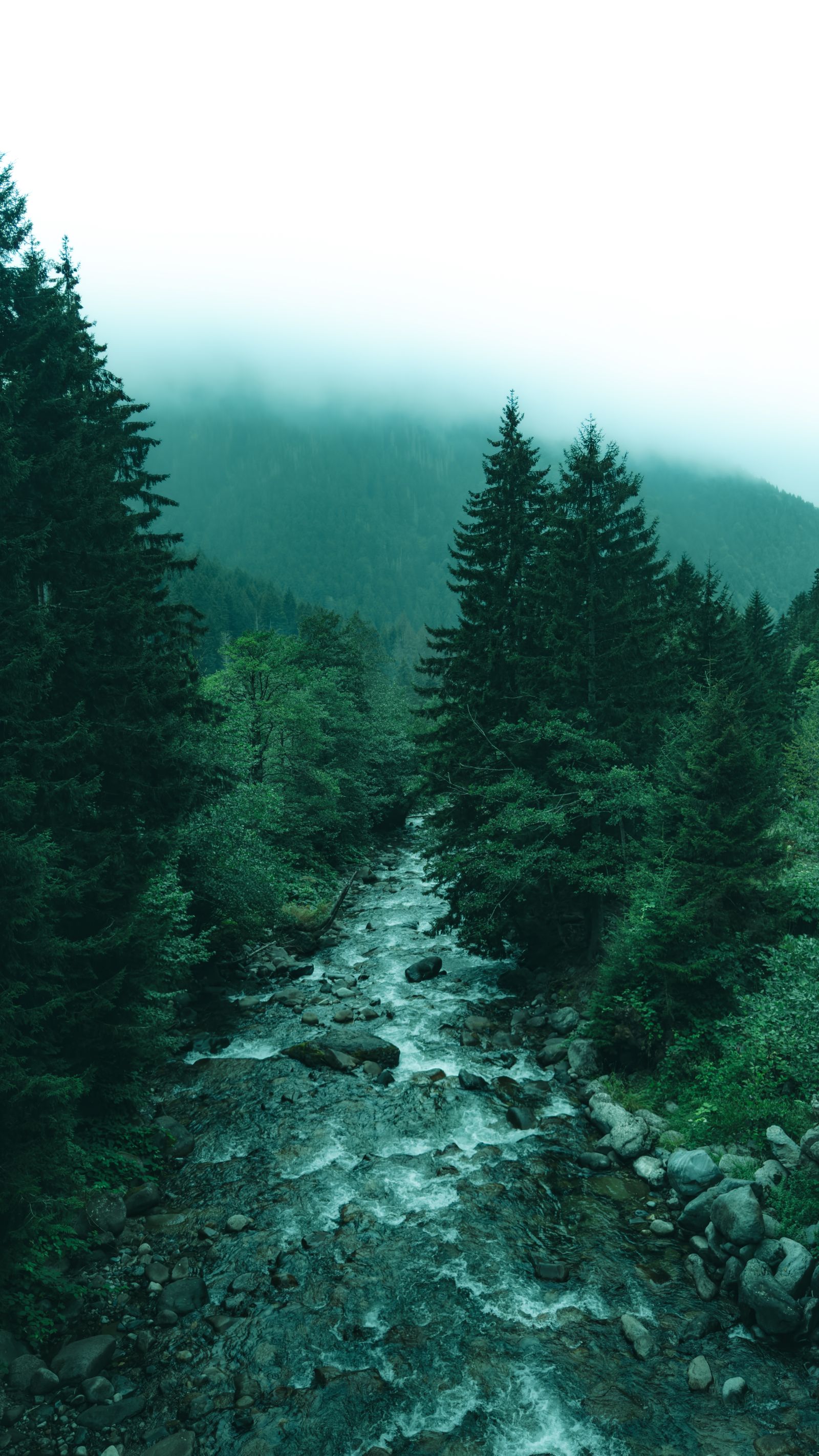 6,000+ Best Brook Photos · 100% Free Download · Pexels Stock Photos