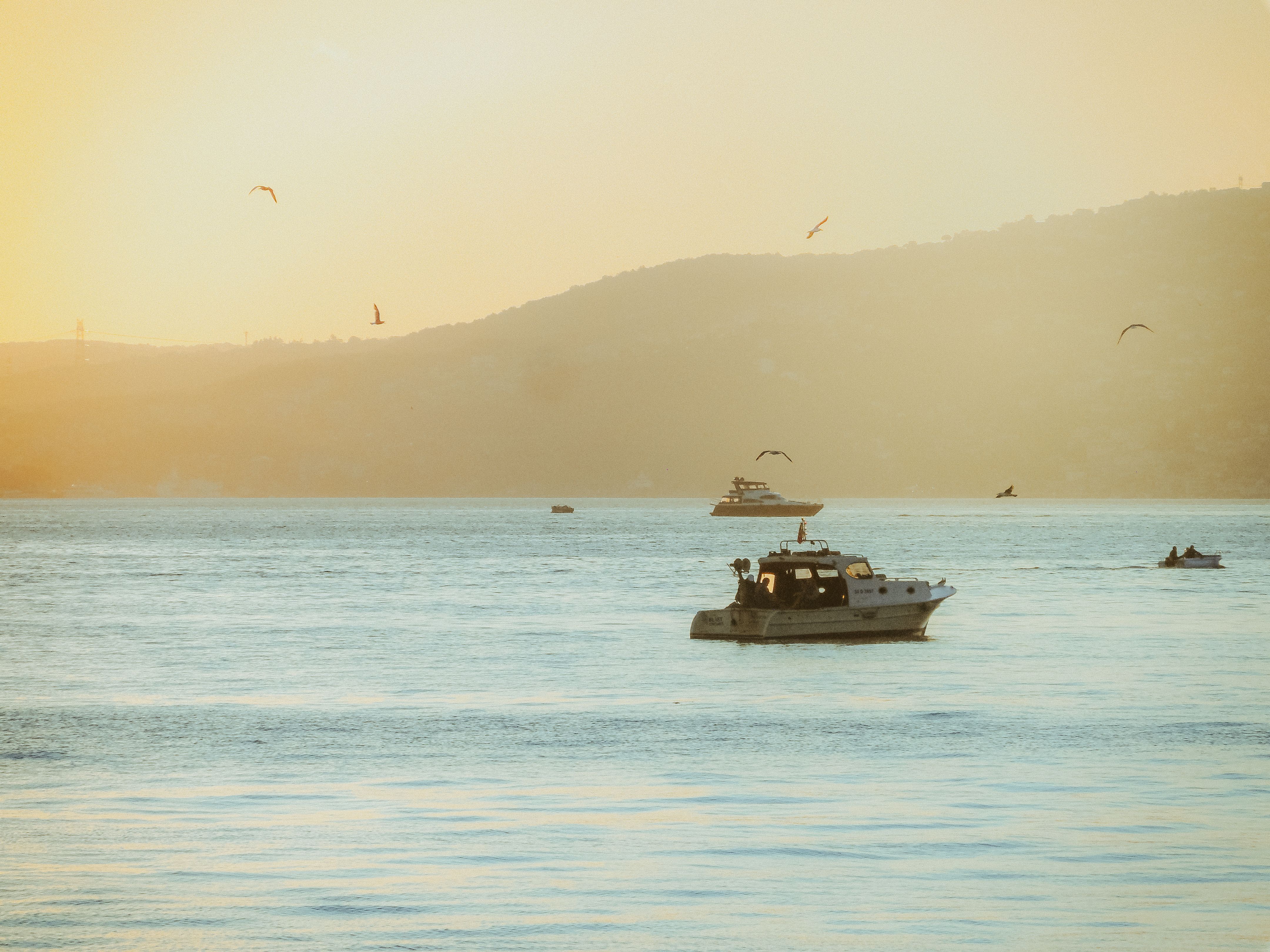 Calm ocean view with boats and seagulls at golden sunset.