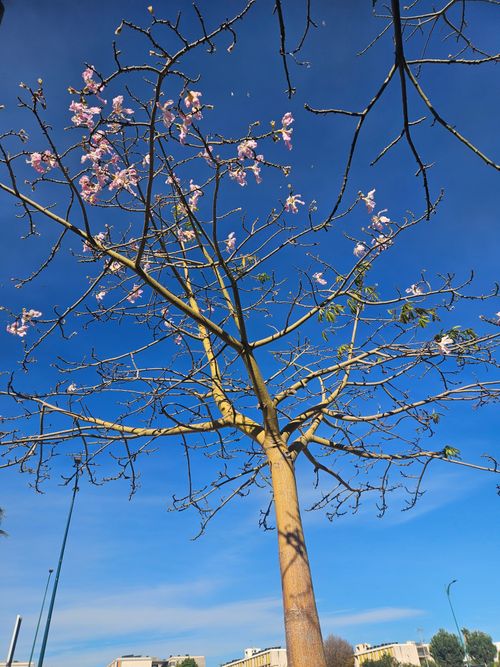 Free Nature Stock Photo