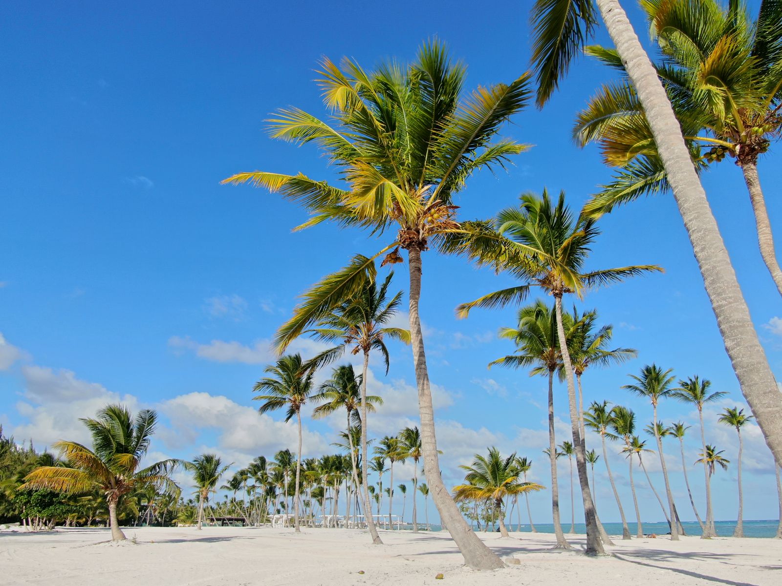 Beach Cabanas