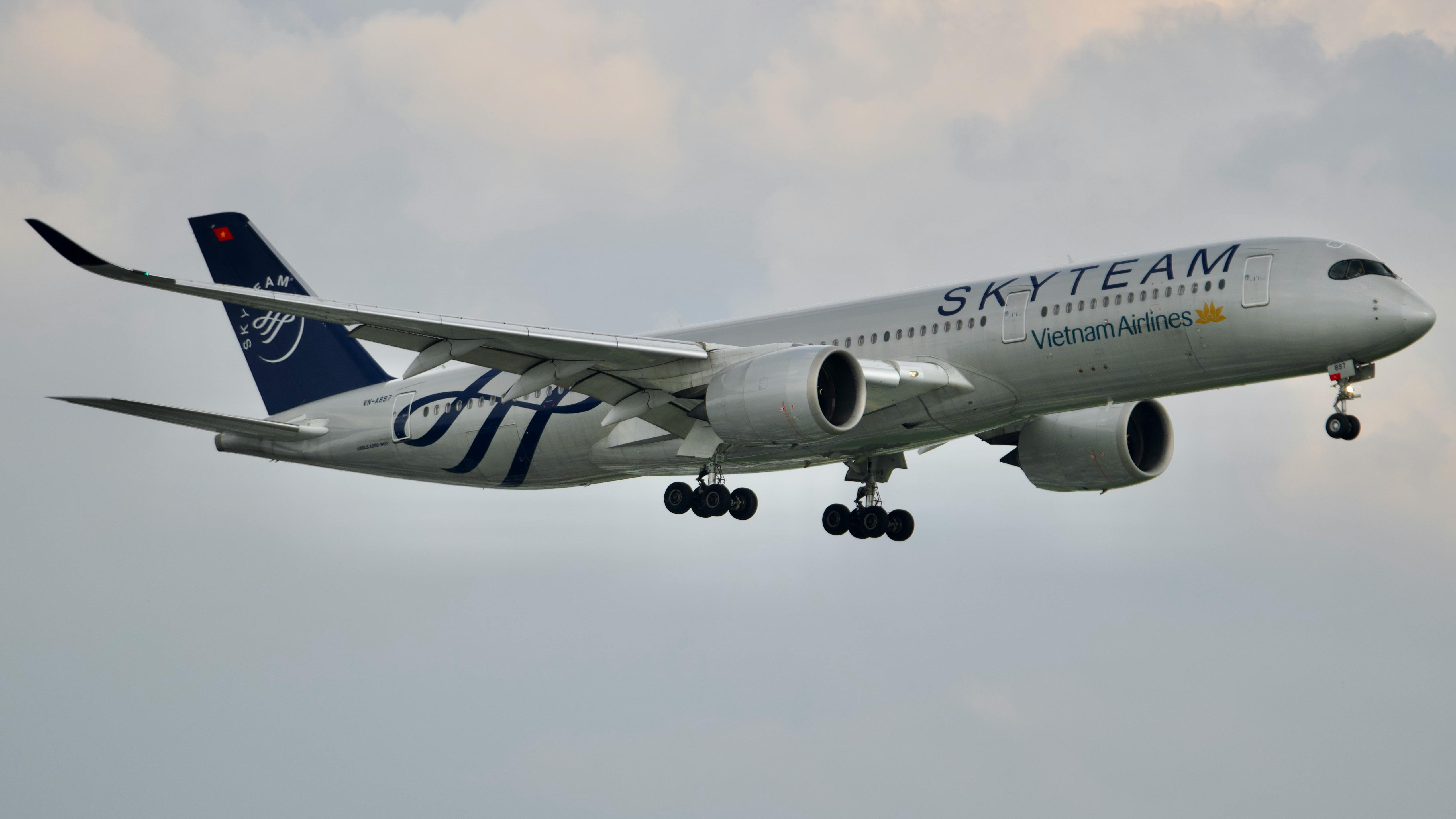 Malaysia Airlines, Tourism New Zealand Launch Joint Travel Push For New Zealand — Photo by Tuan Vy  Spotter on Pexels