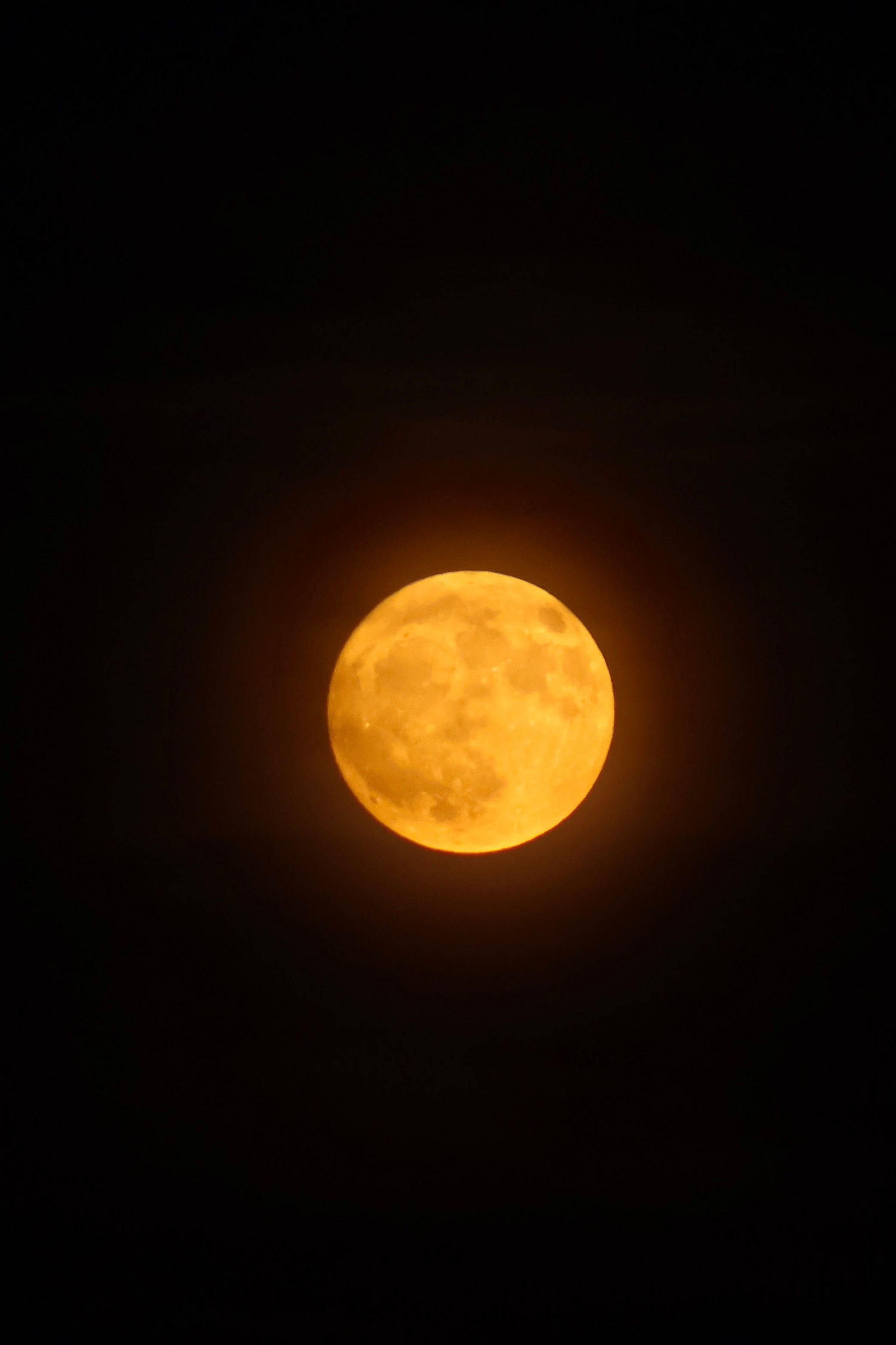 Captivating Orange Full Moon in Night Sky · Free Stock Photo