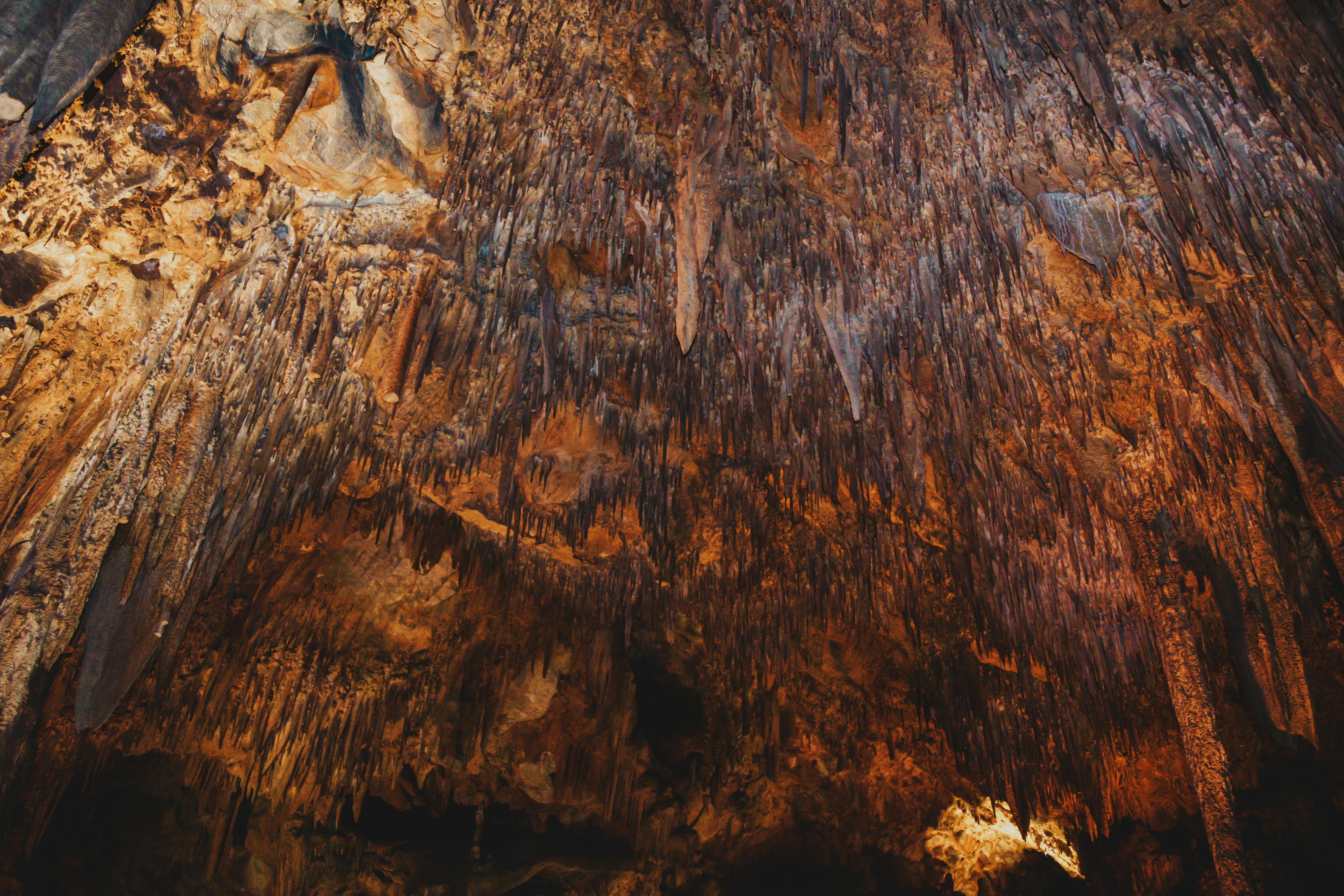 Herbal Medicine Trends: A Science-Based Approach to Natural Healing