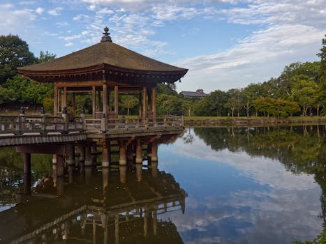 Nara, Japan photo 11