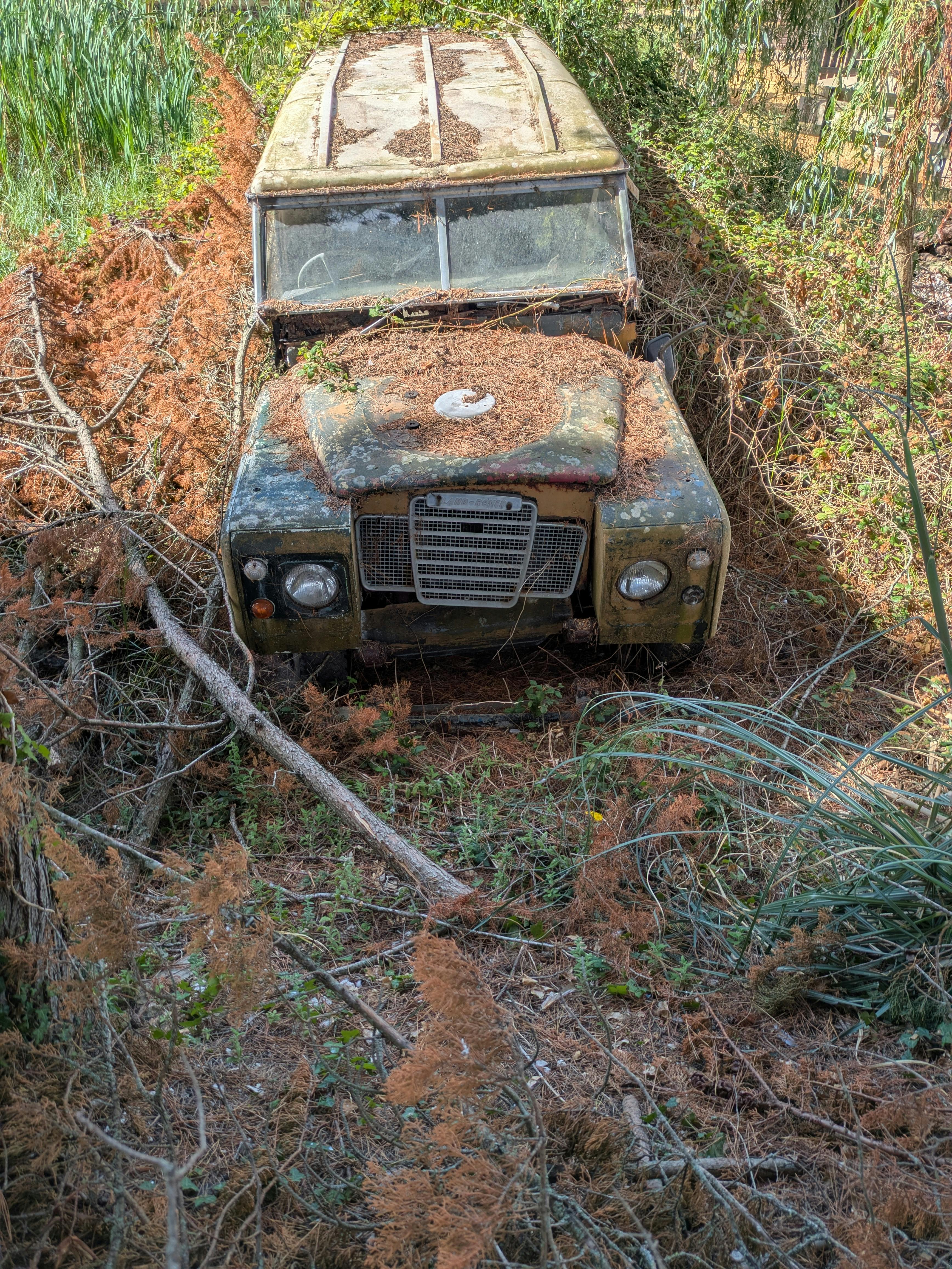 首波鋒面何時抵台 天氣風險分析報你知