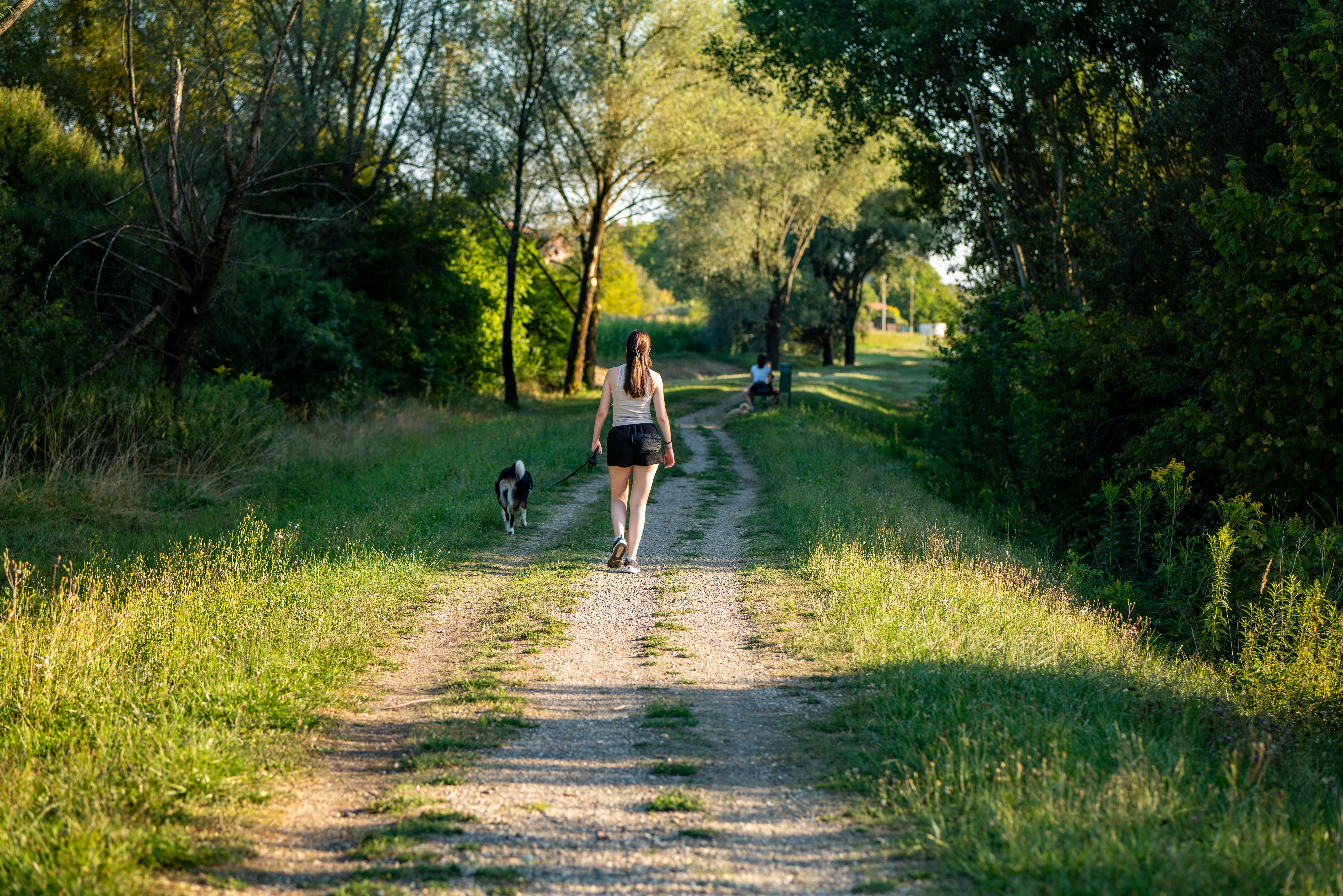 Au parc — Promeneur de chien à Moissac