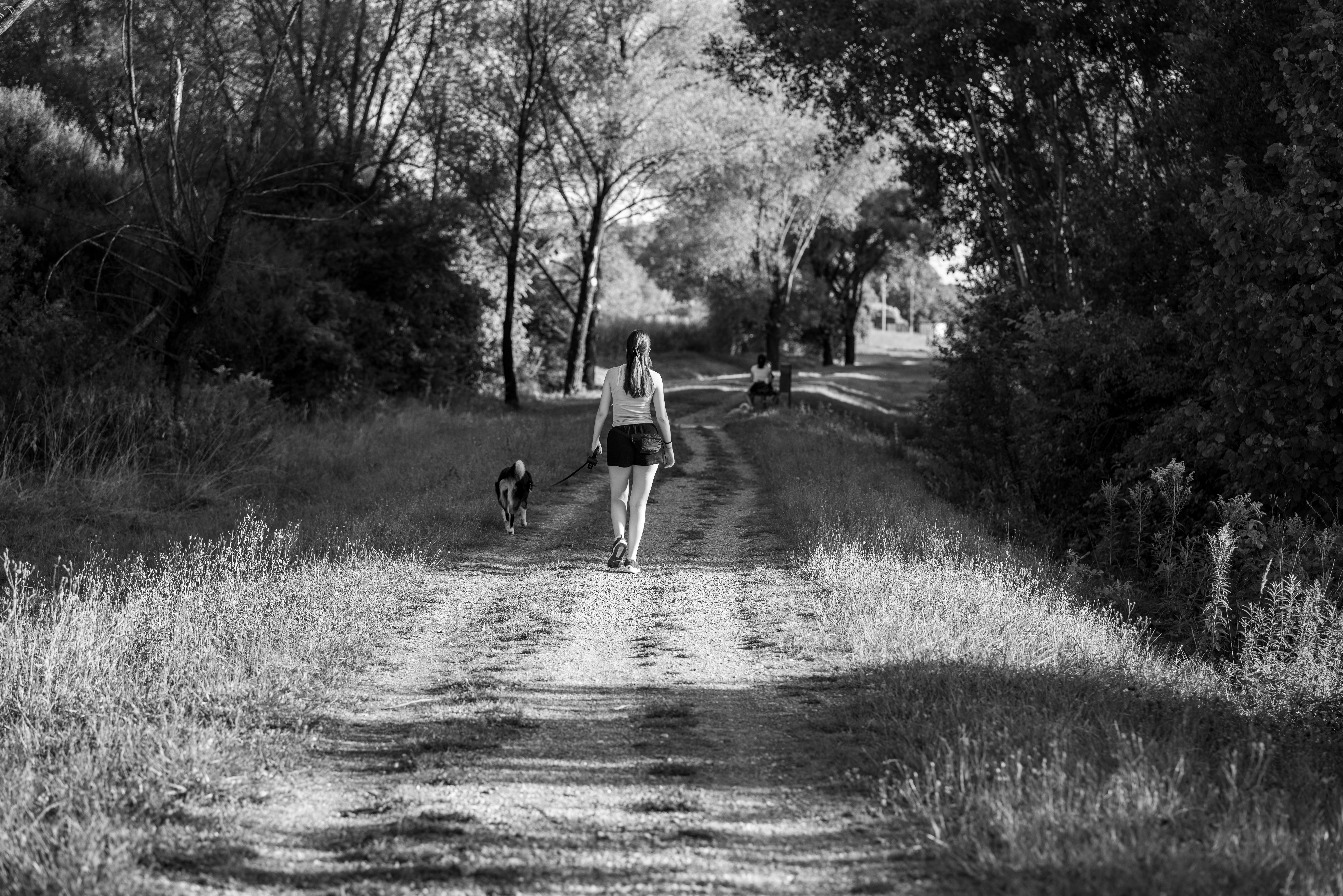 Gentle rhythms around morning walks — a gentle guide