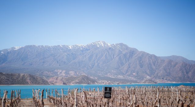 Scenic view of the Andes mountains and lake in Potrerillos, Mendoza, Argentina.