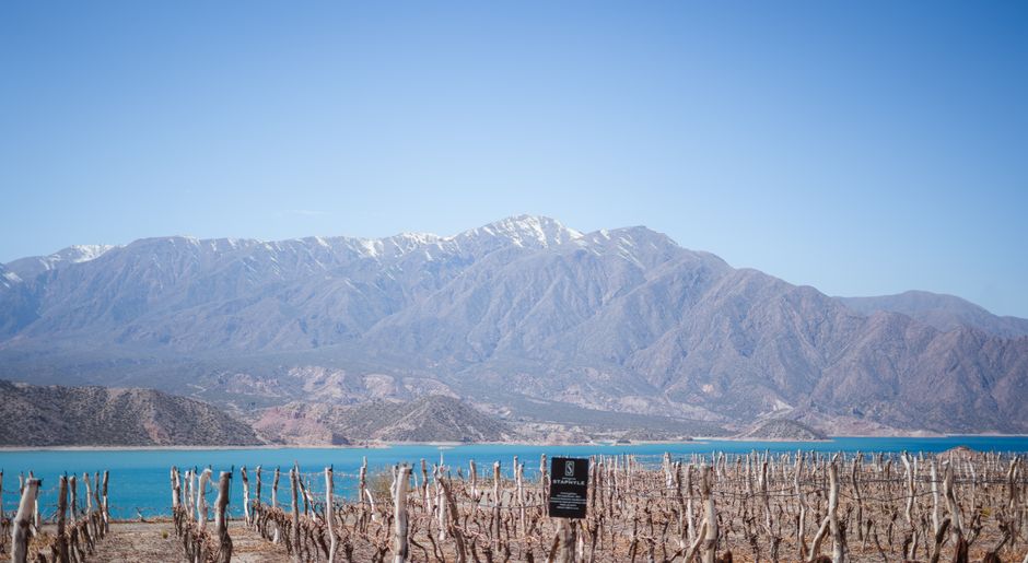 Wine tasting at a vineyard in Mendoza, Argentina with mountains in the background