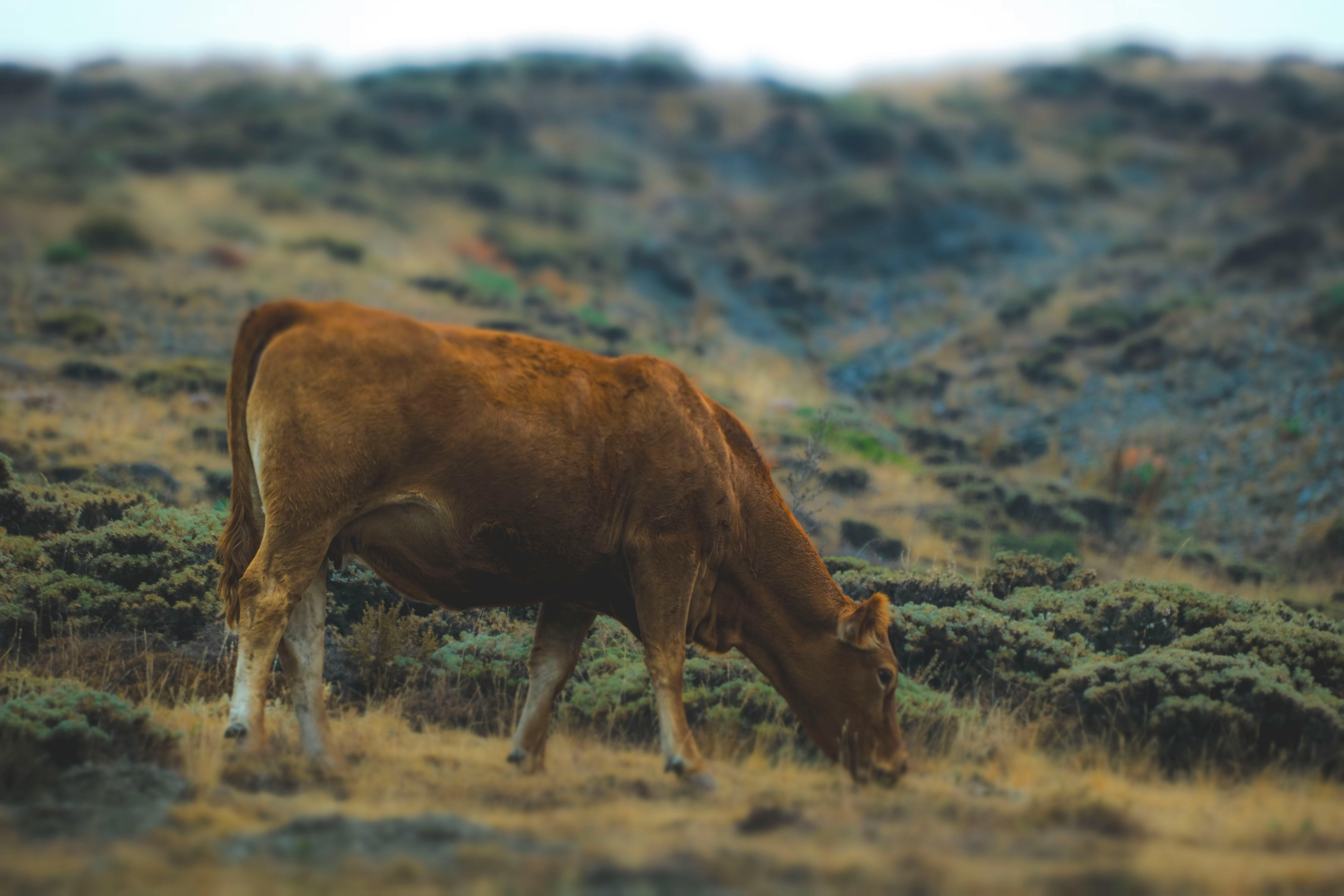Khám Phá Thế Giới Giải Trí Trực Tuyến cùng j88 love - Nơi Niềm Vui Vô Tận Chờ Đón quý khách