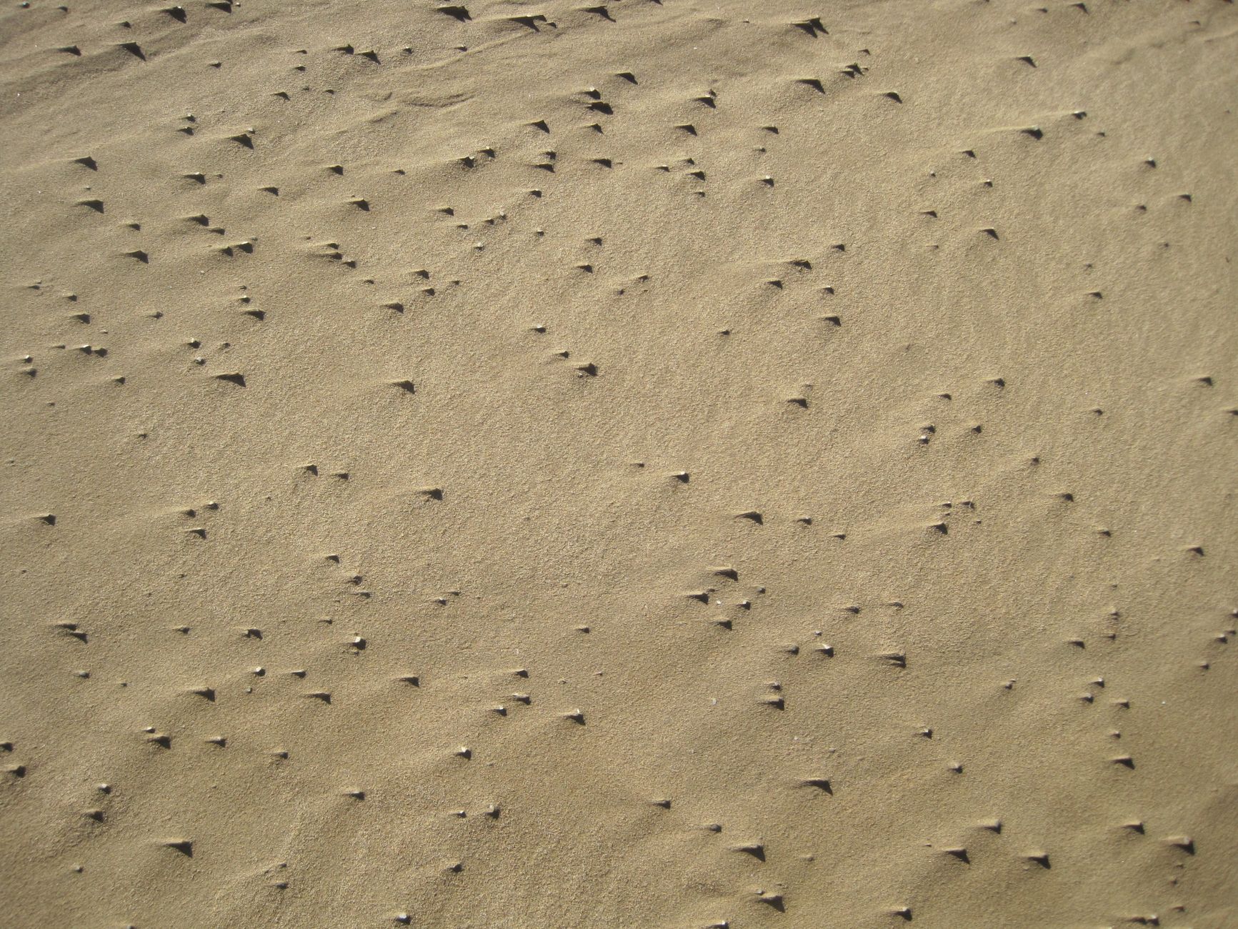 Swakopmund Things to Do: A Coastal Adventure Guide