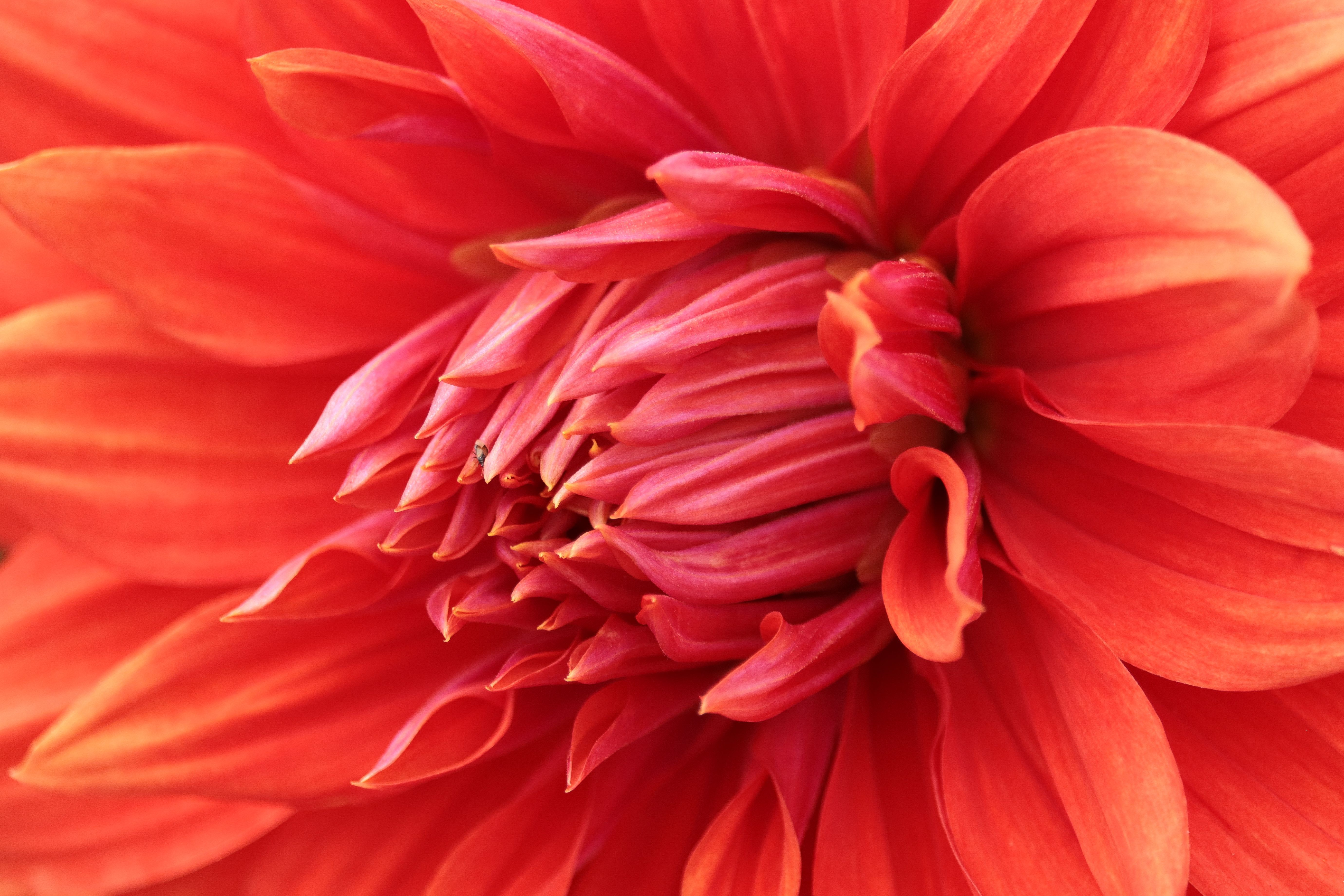Color Texture Photos, Download The BEST Free Color Texture Stock Photos ...