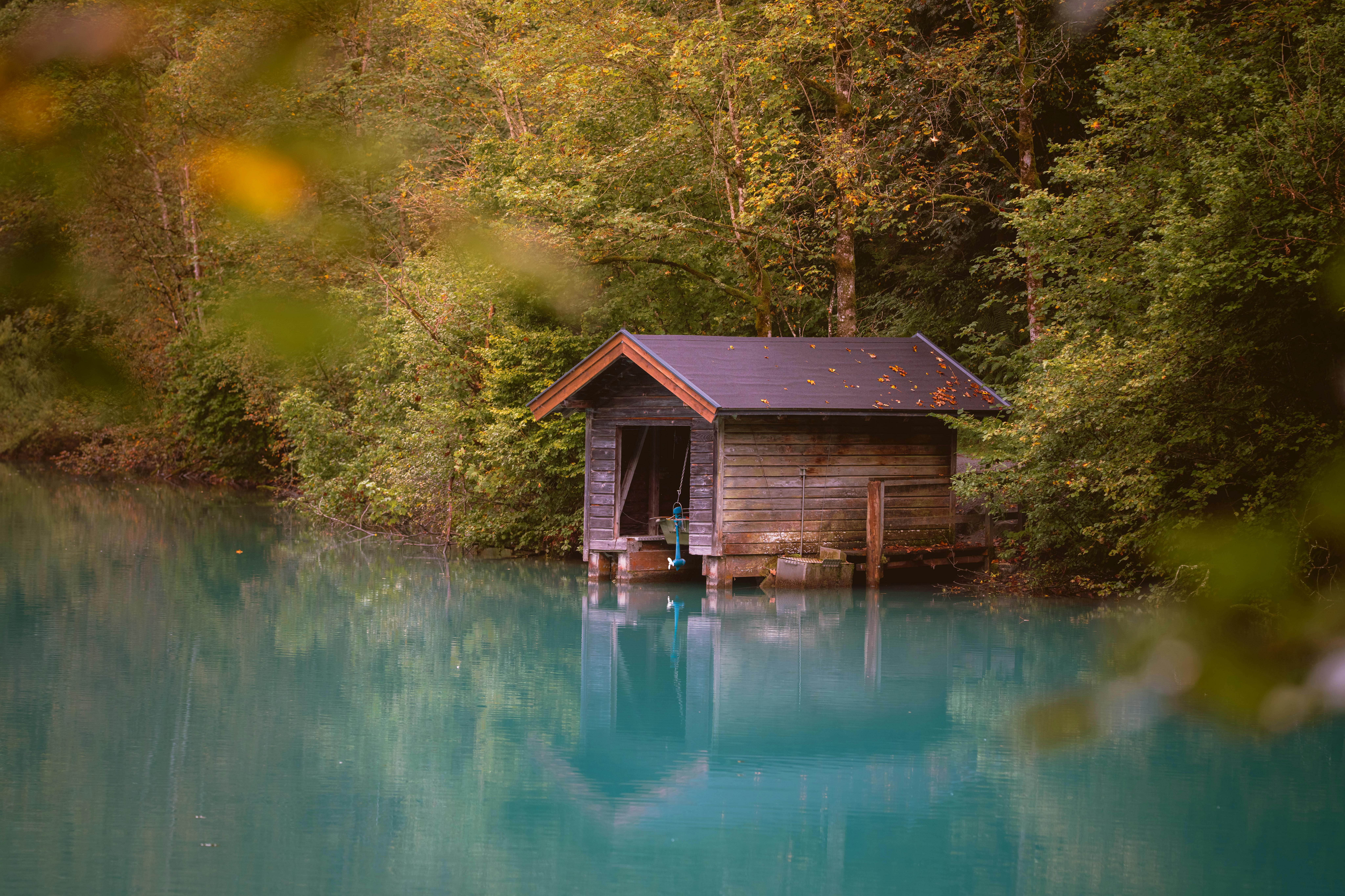 The Unexpected Link Between Herbal Medicine and Sustainable Living