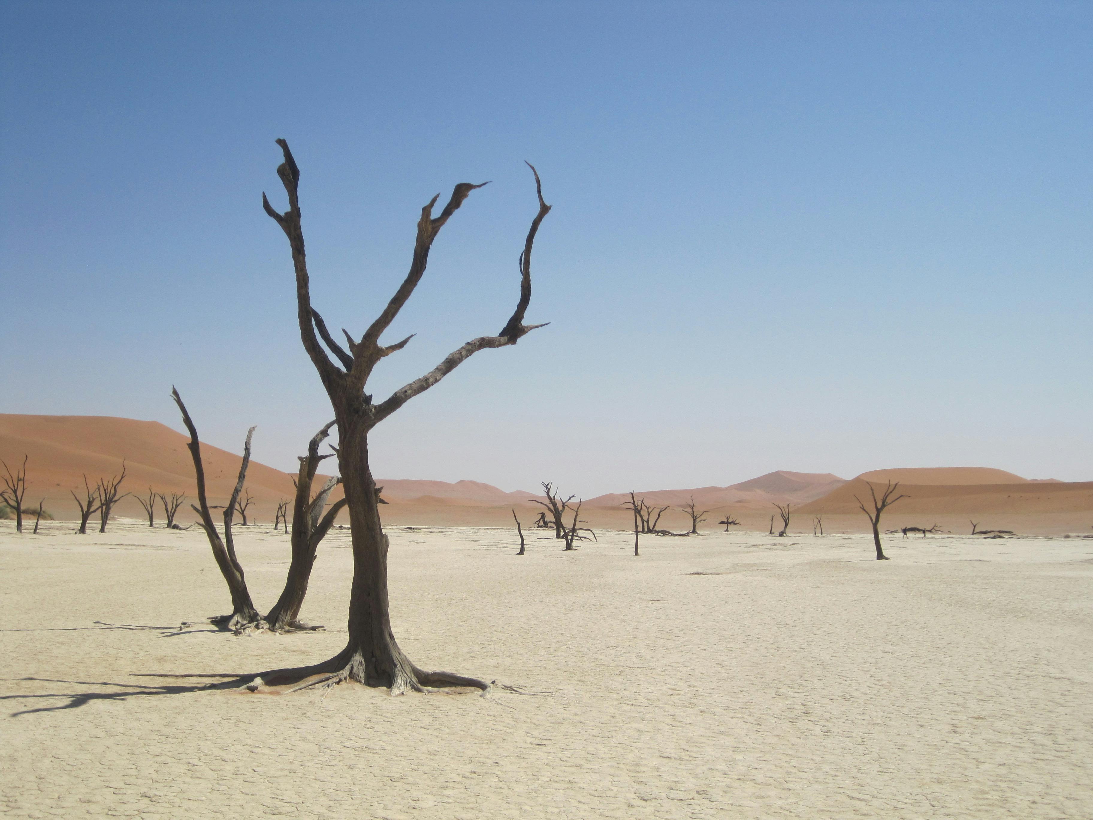 Mallu Hot Photos Download The BEST Free Mallu Hot Stock Photos HD Images