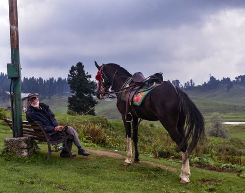 Free A person sitting on a bench with a saddled horse in Gulmarg's picturesque landscape. Stock Photo