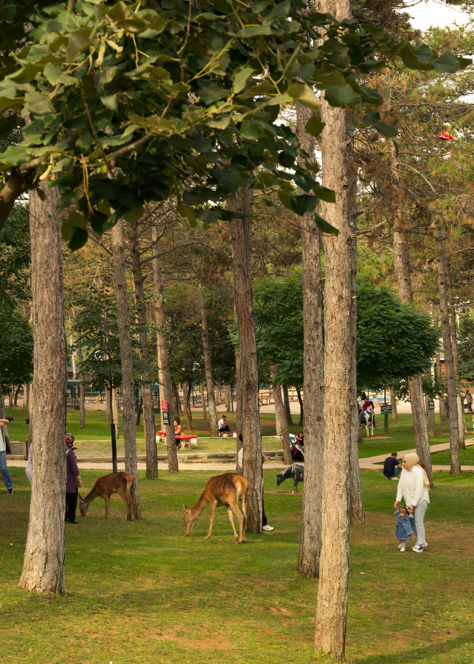Kids Park Photos, Download The BEST Free Kids Park Stock Photos & HD Images