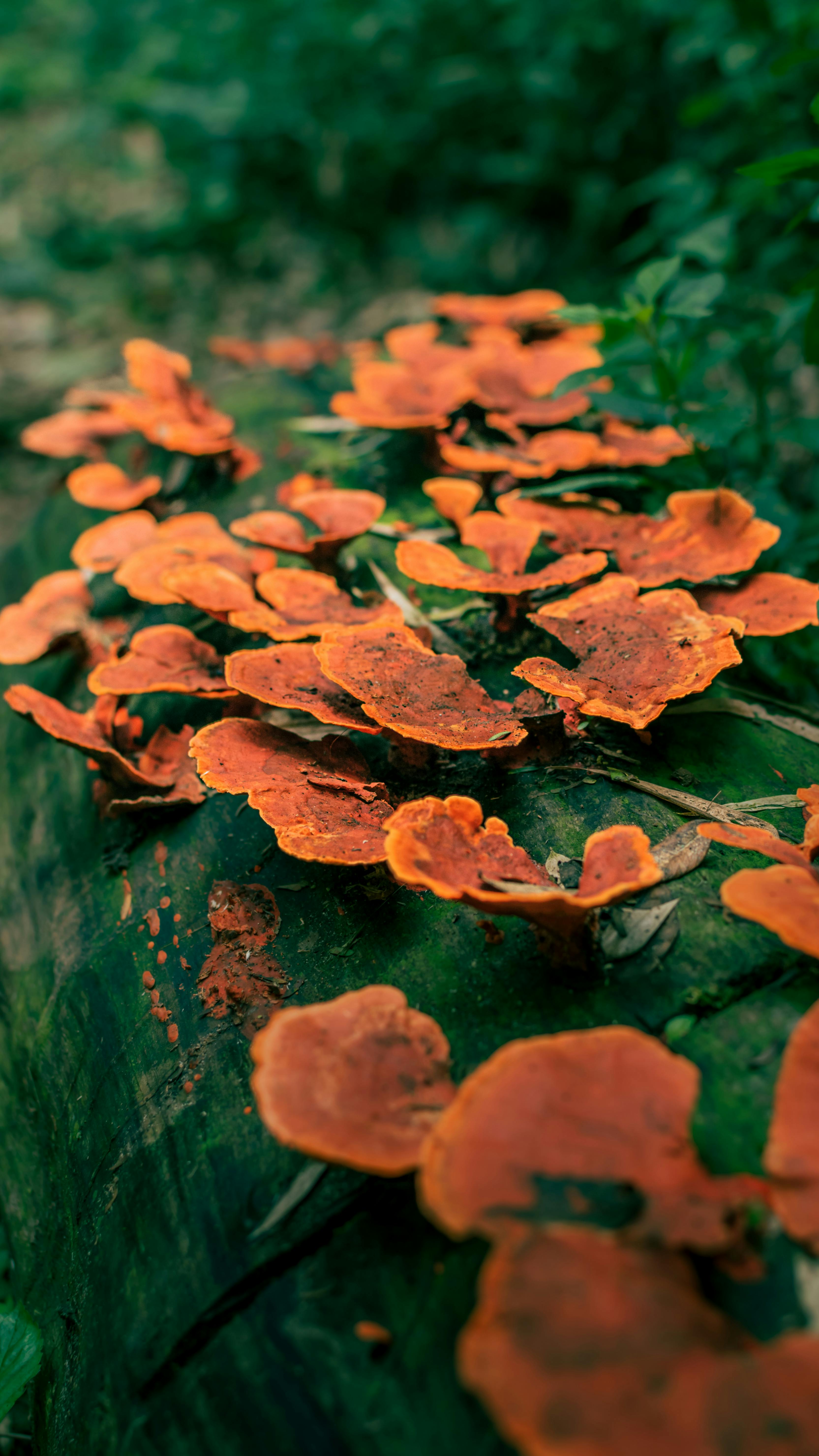 環境部表揚環保模範 64家企業與12位個人獲獎