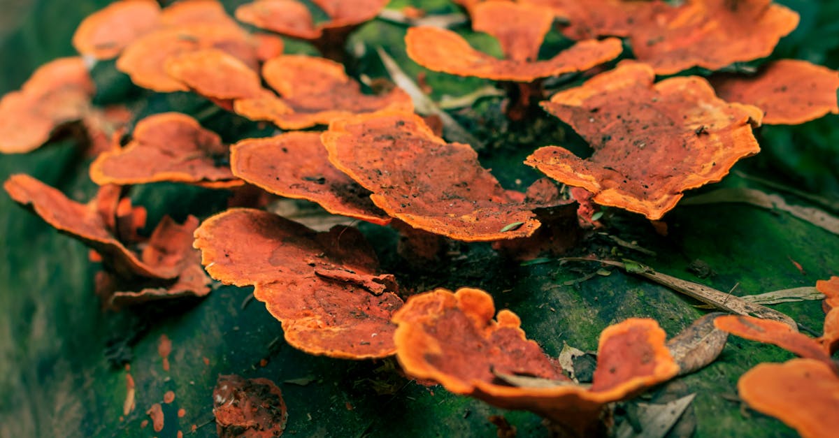 環境部表揚環保模範 64家企業與12位個人獲獎