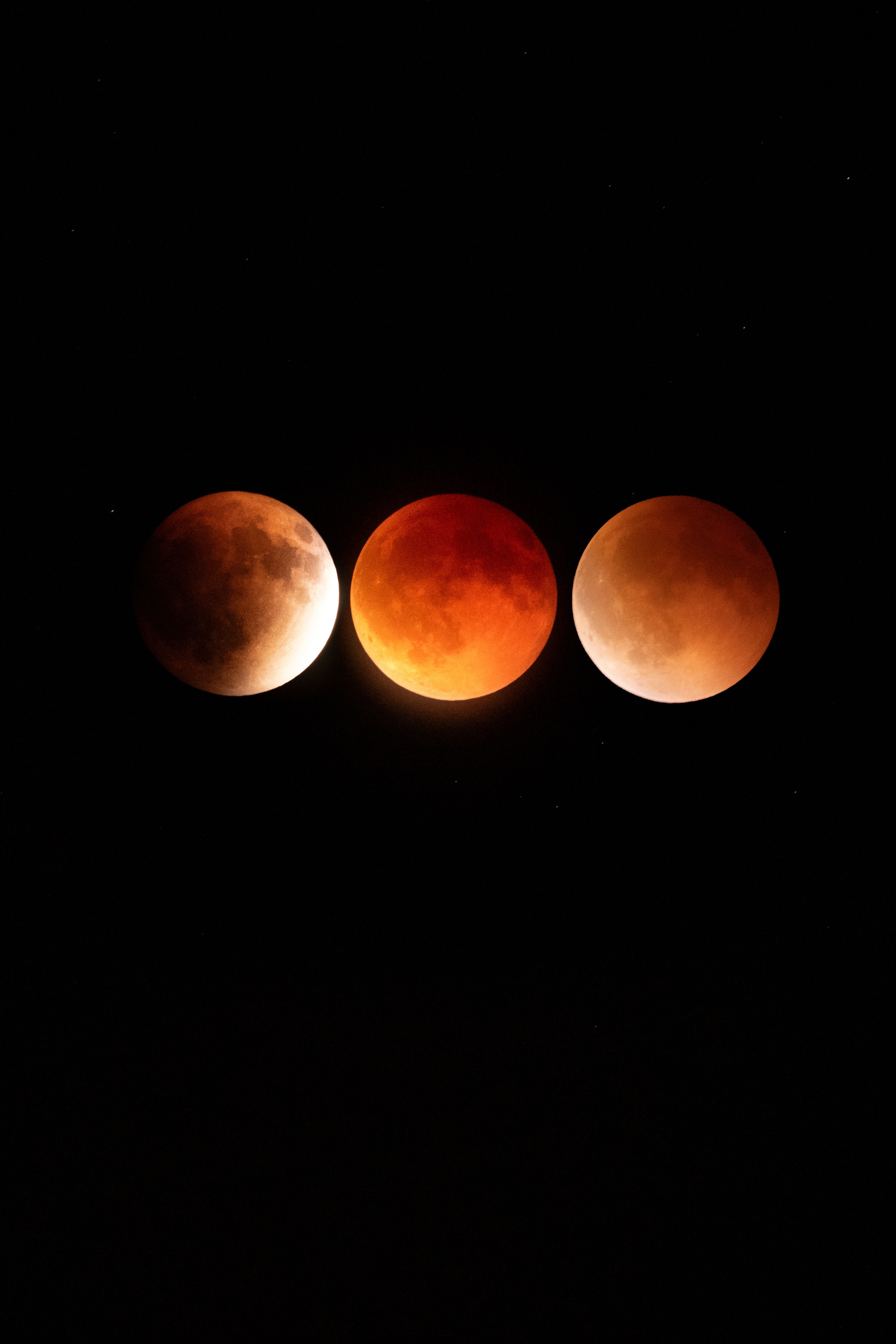 Lunar Eclipse Phases Displayed Against Night Sky · Free Stock Photo