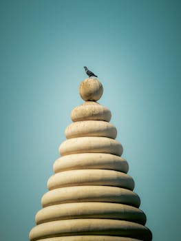 Sentinel of the Sky