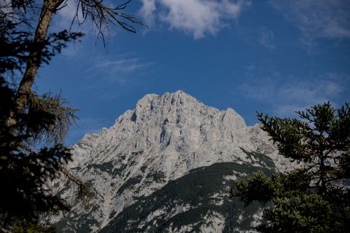 Free Breathtaking view of an Alpine mountain peak surrounded by lush forests under a clear blue sky. Stock Photo